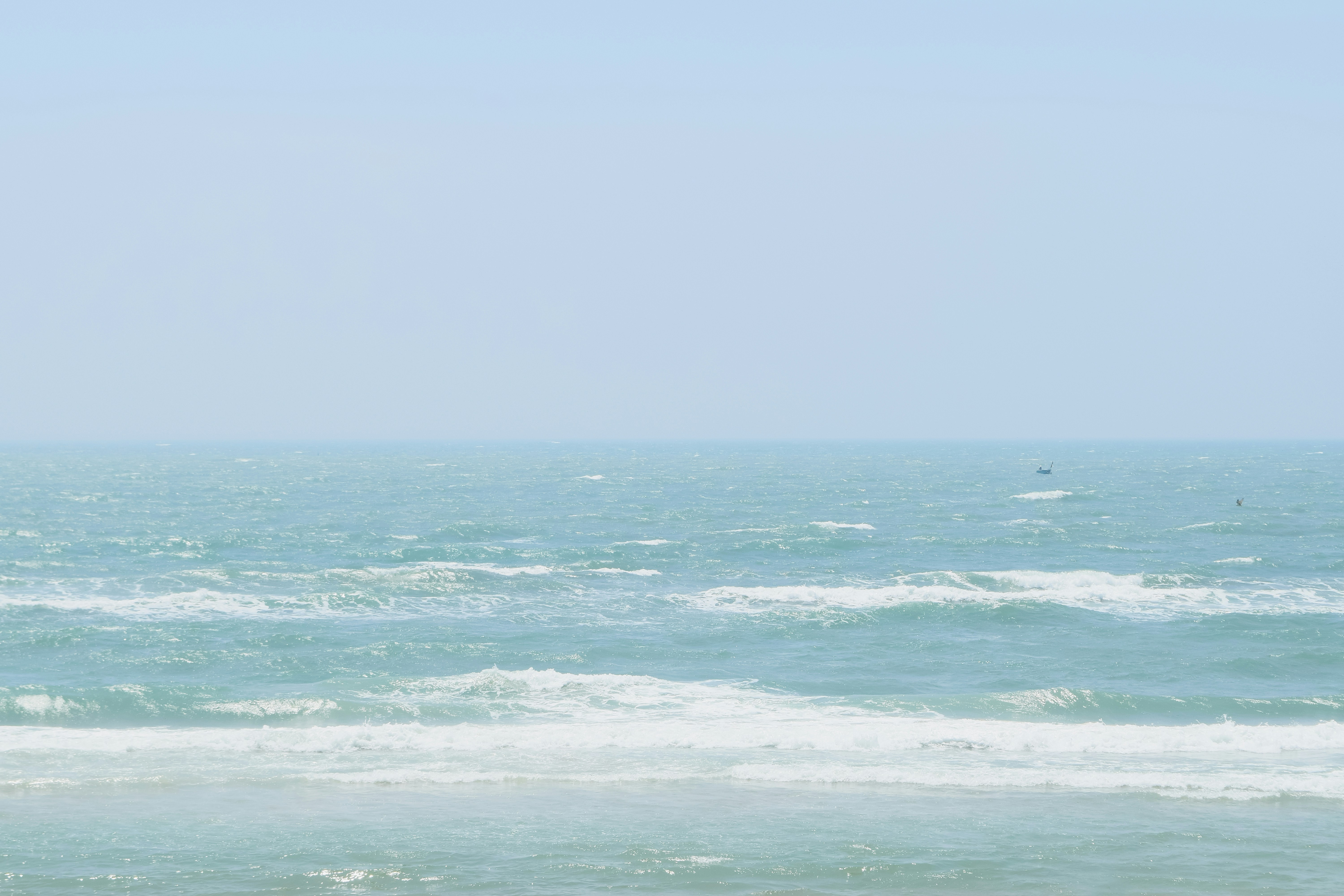 Photo by hoanganh_dreamplanie