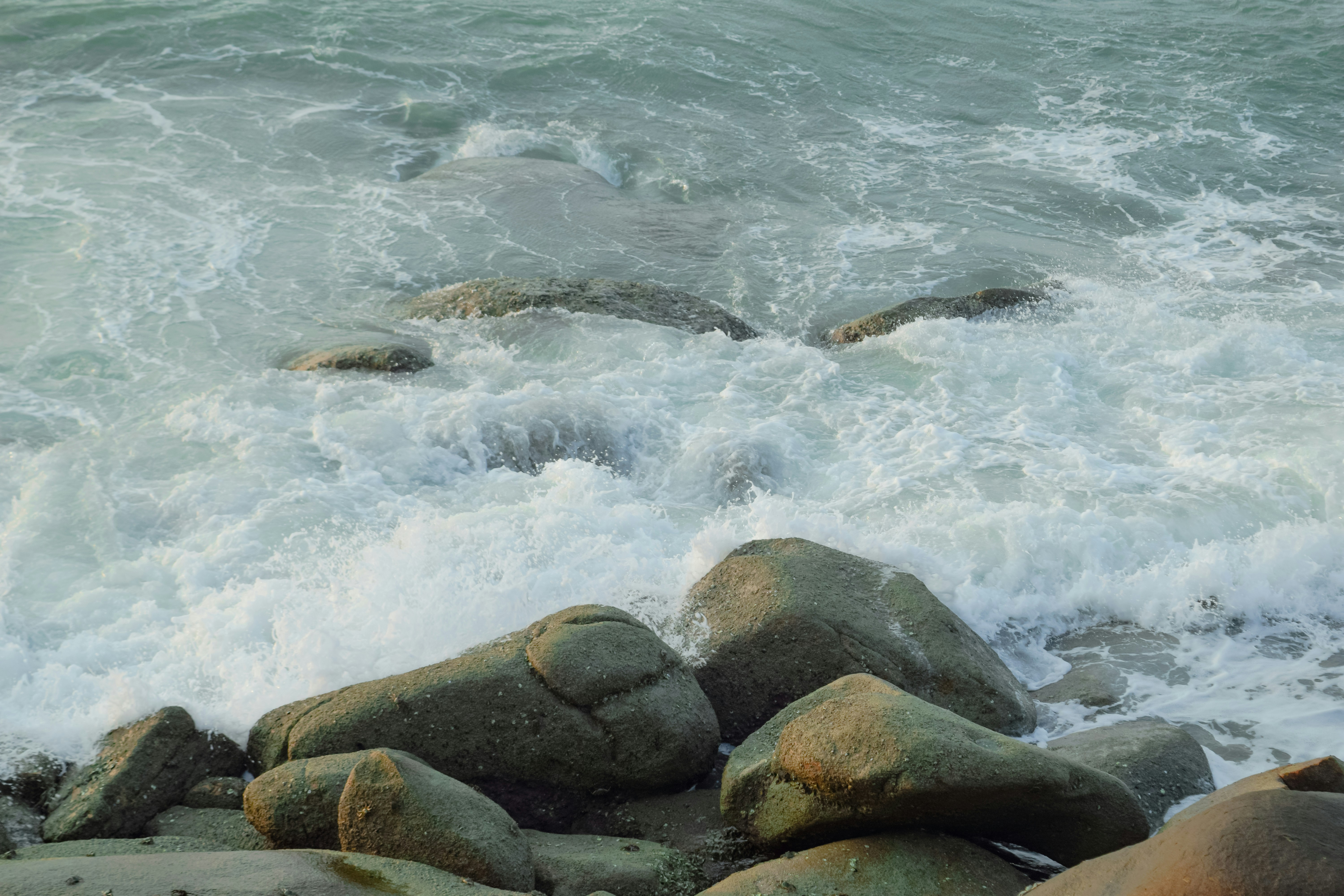 Photo by hoanganh_dreamplanie