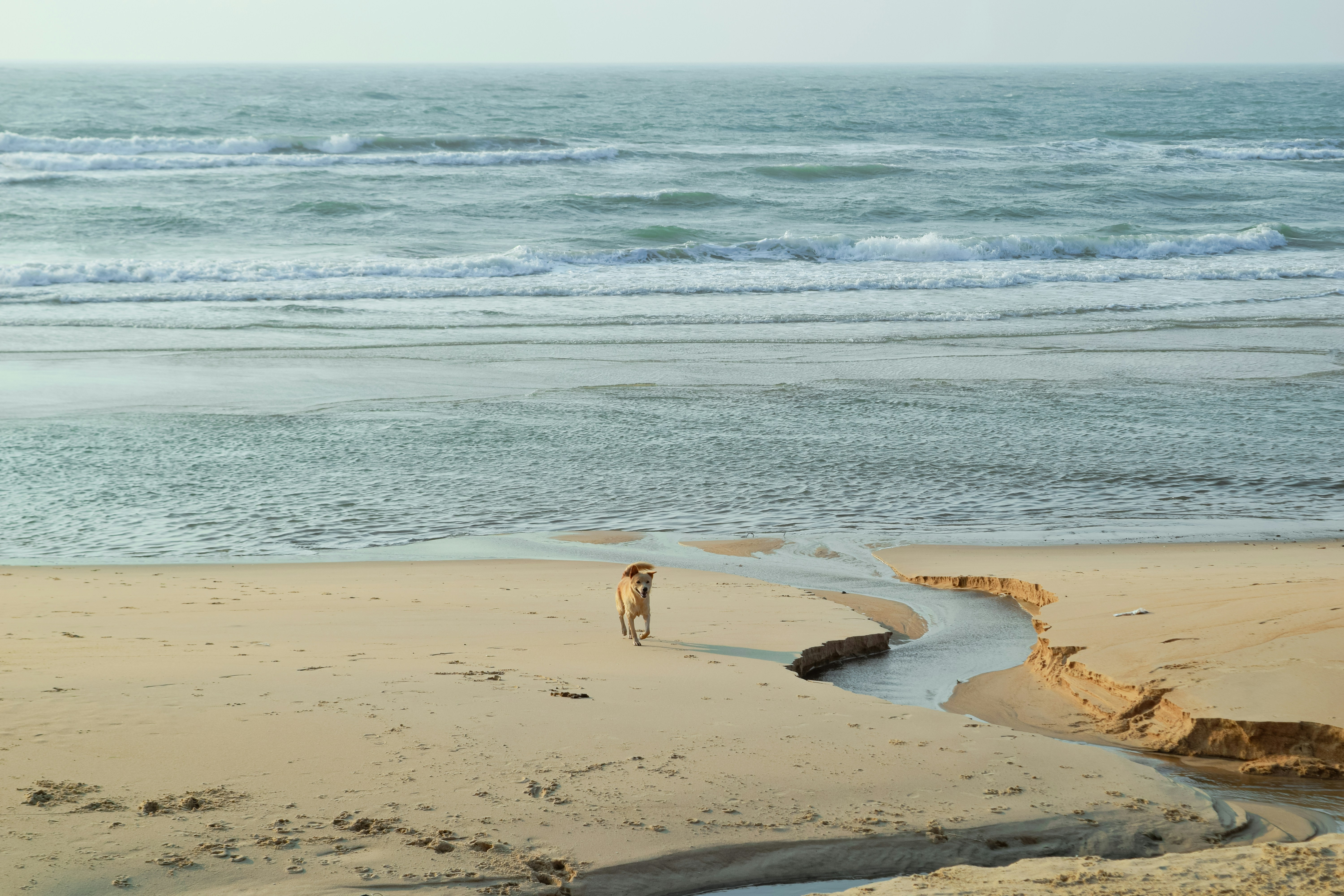 Photo by hoanganh_dreamplanie