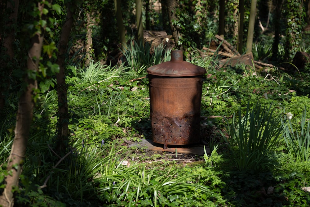 a rusted metal trash can sitting in the middle of a forest
