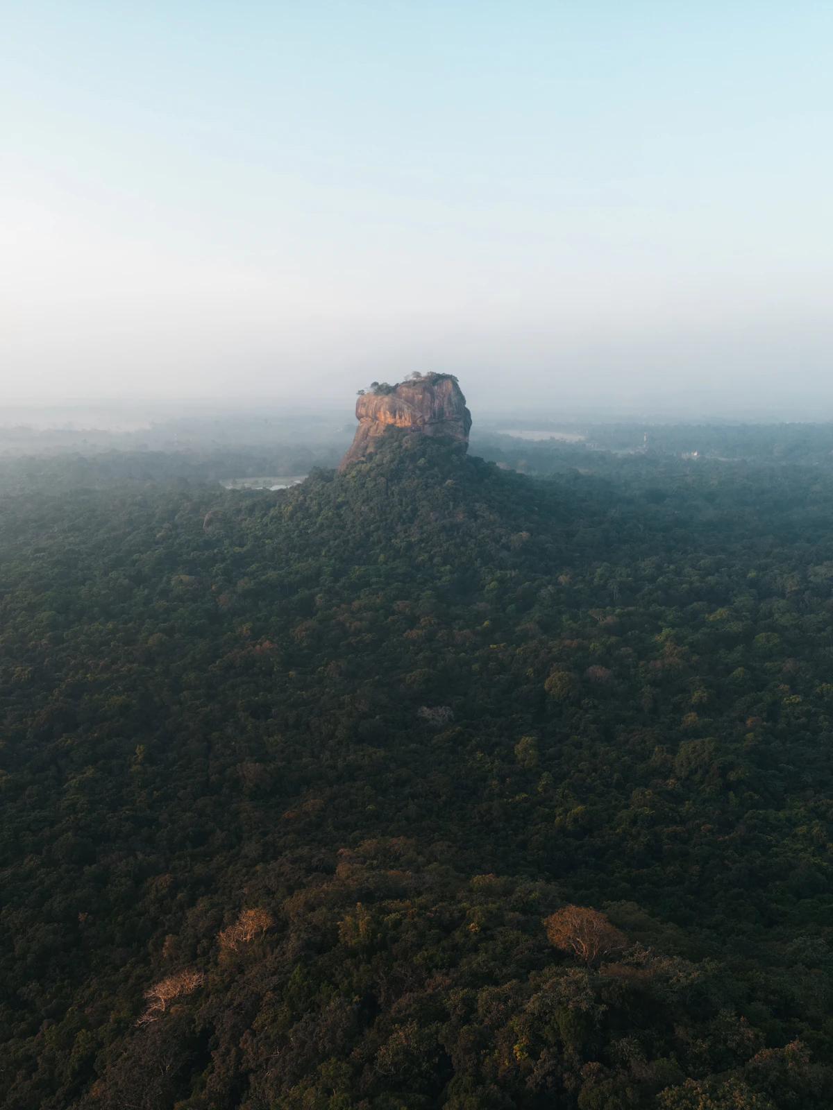 Sigiriya Rock rising above green Sri Lankan forest