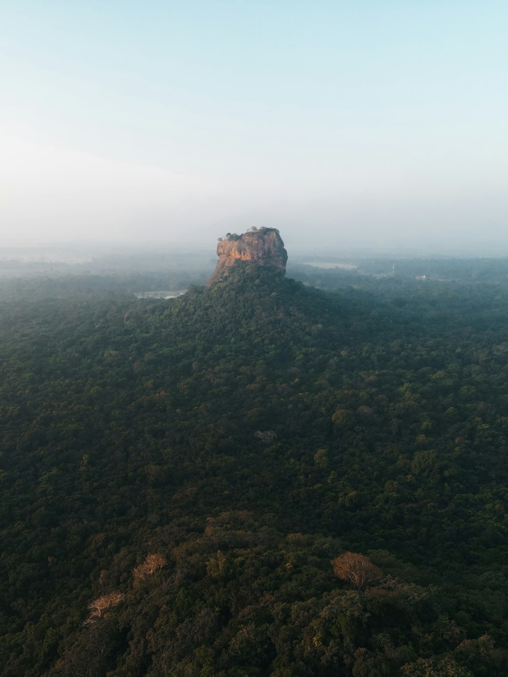 a large rock in the middle of a forest