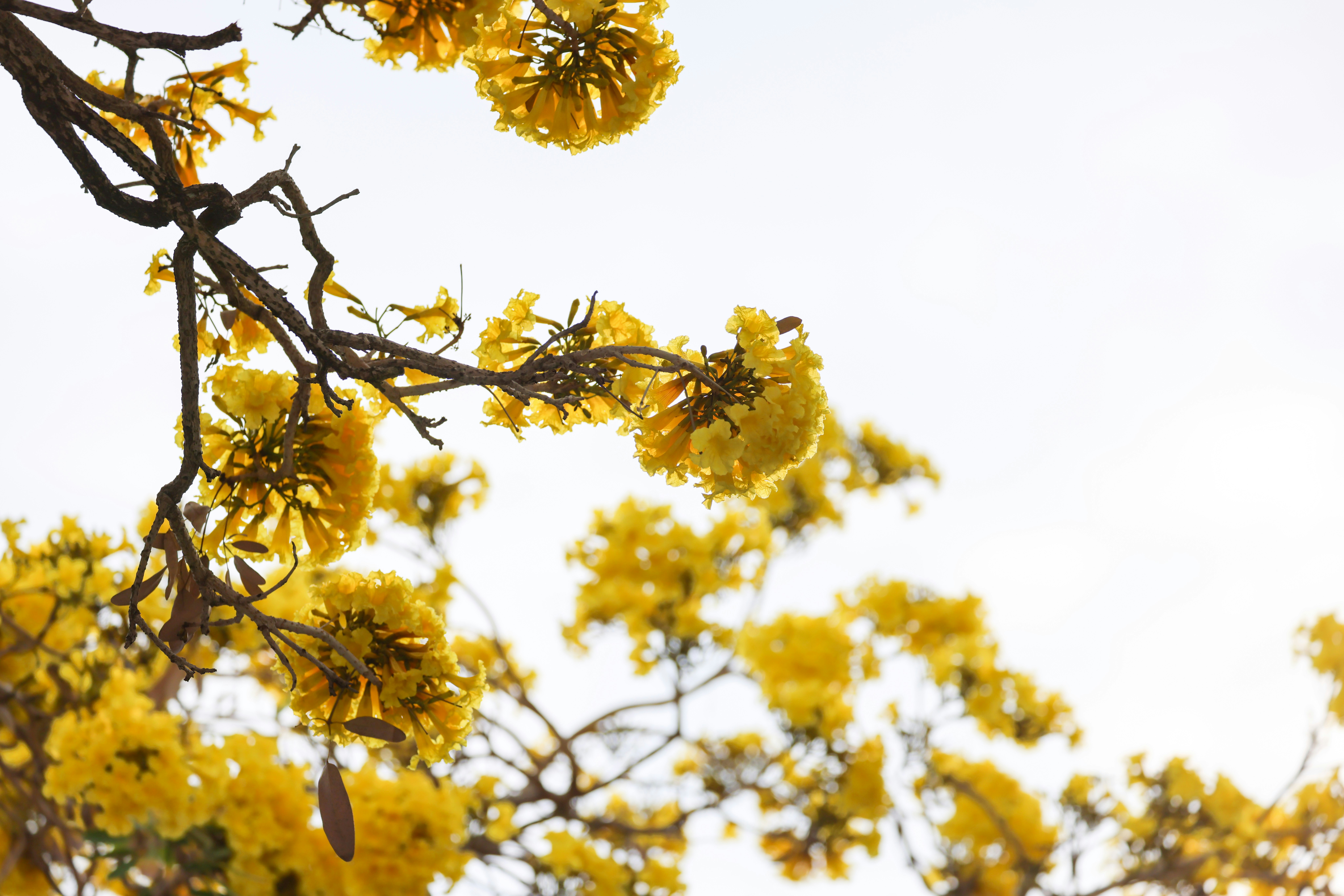 Photo by dickenslin76