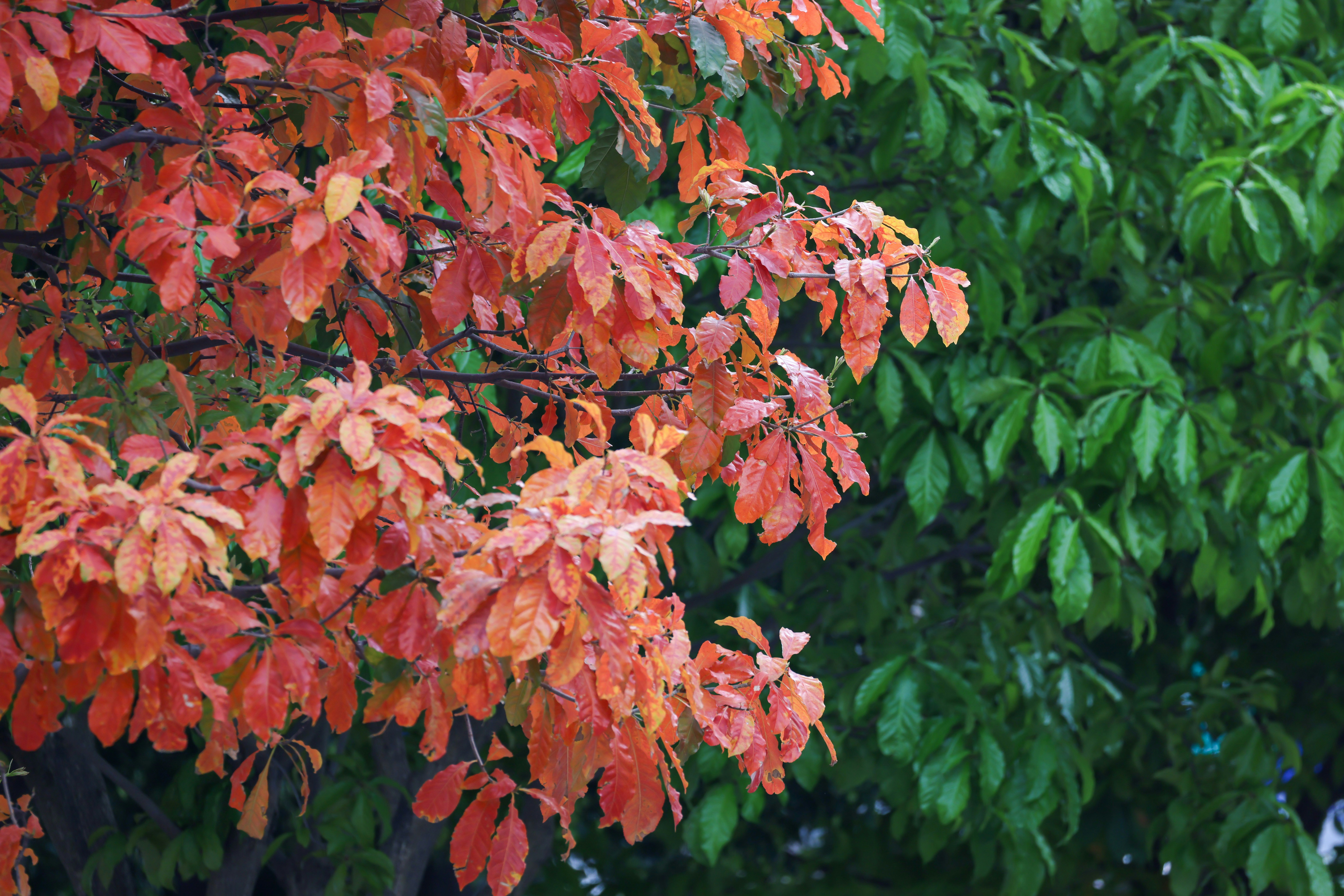 Photo by dickenslin76