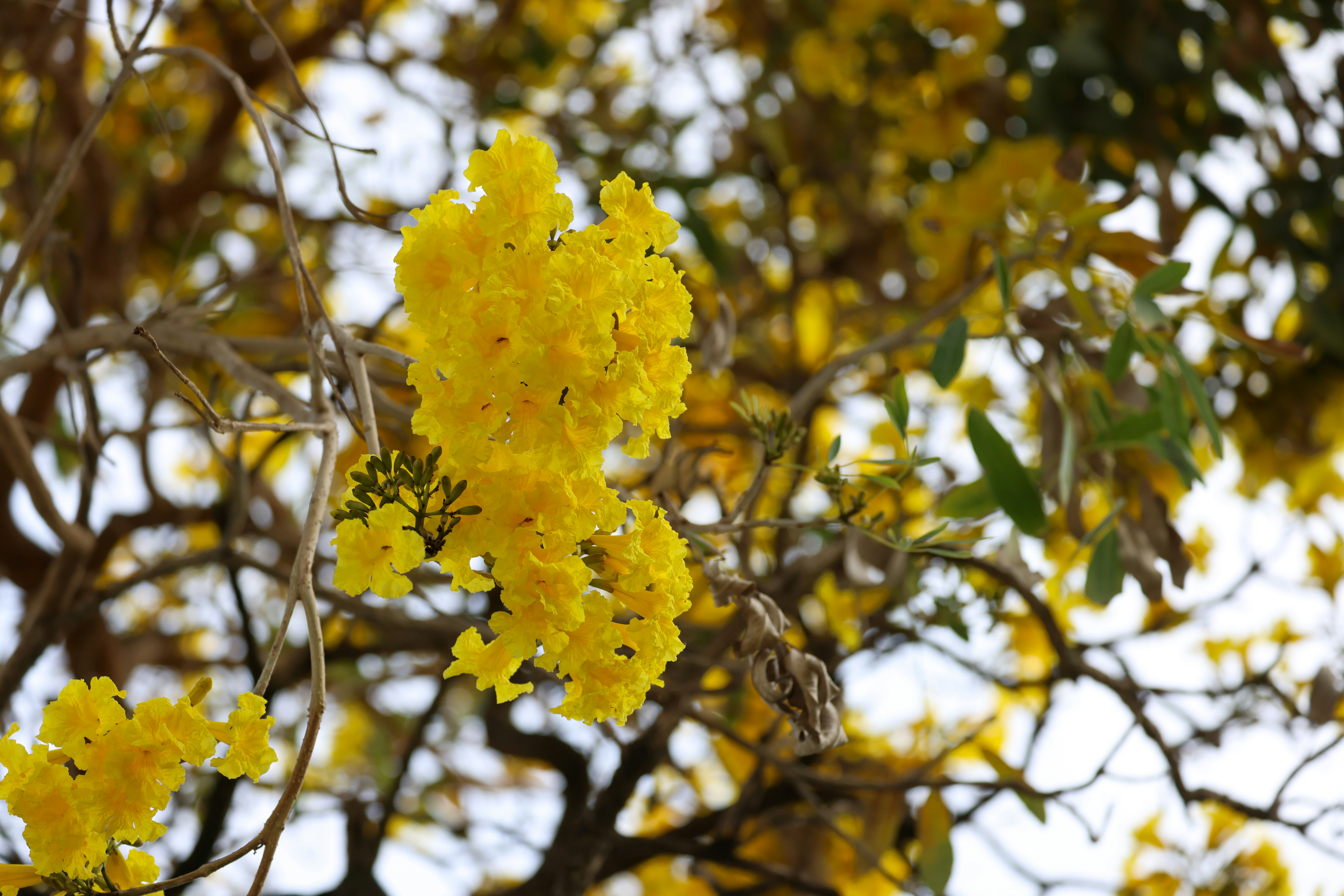 Photo by dickenslin76