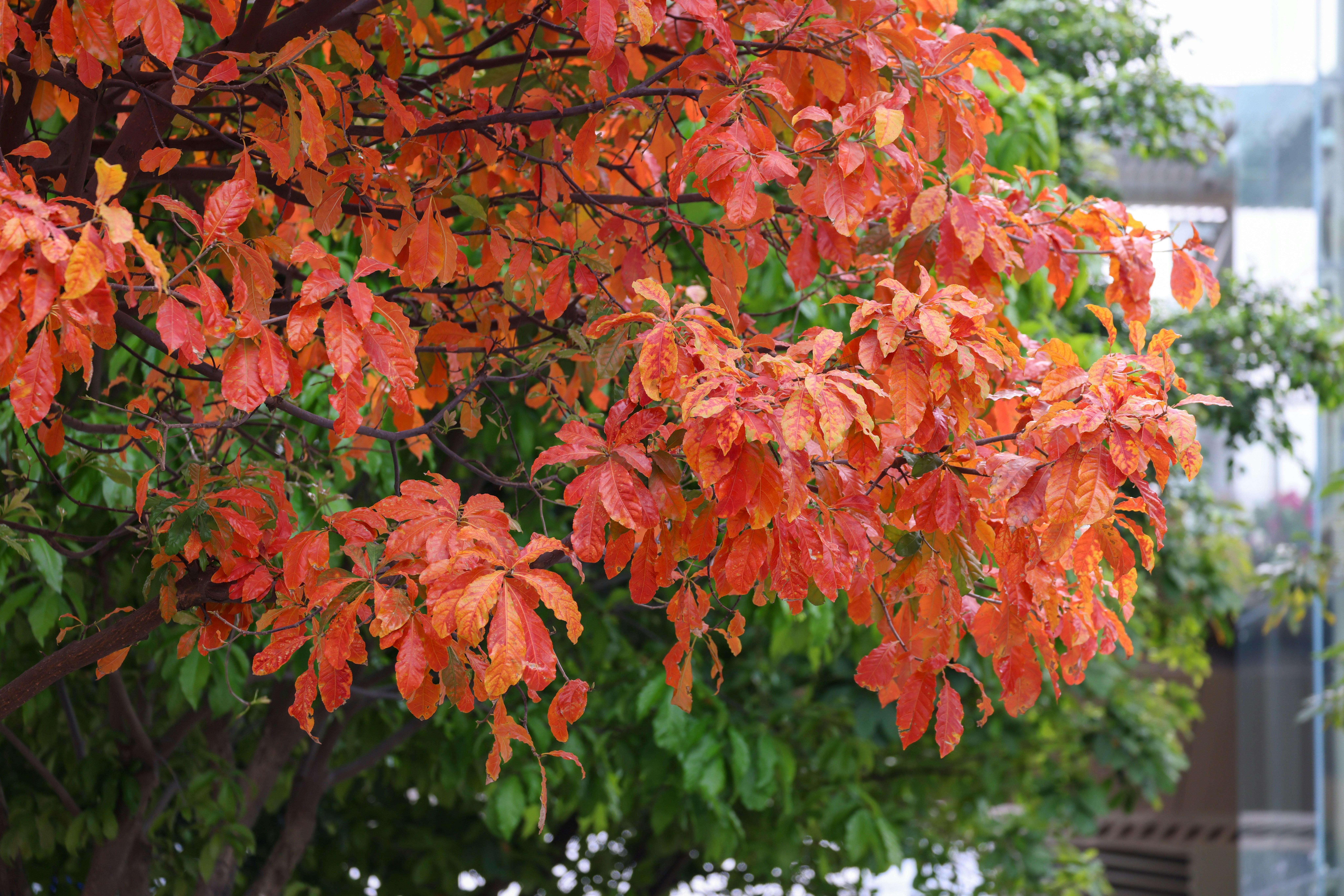 Photo by dickenslin76