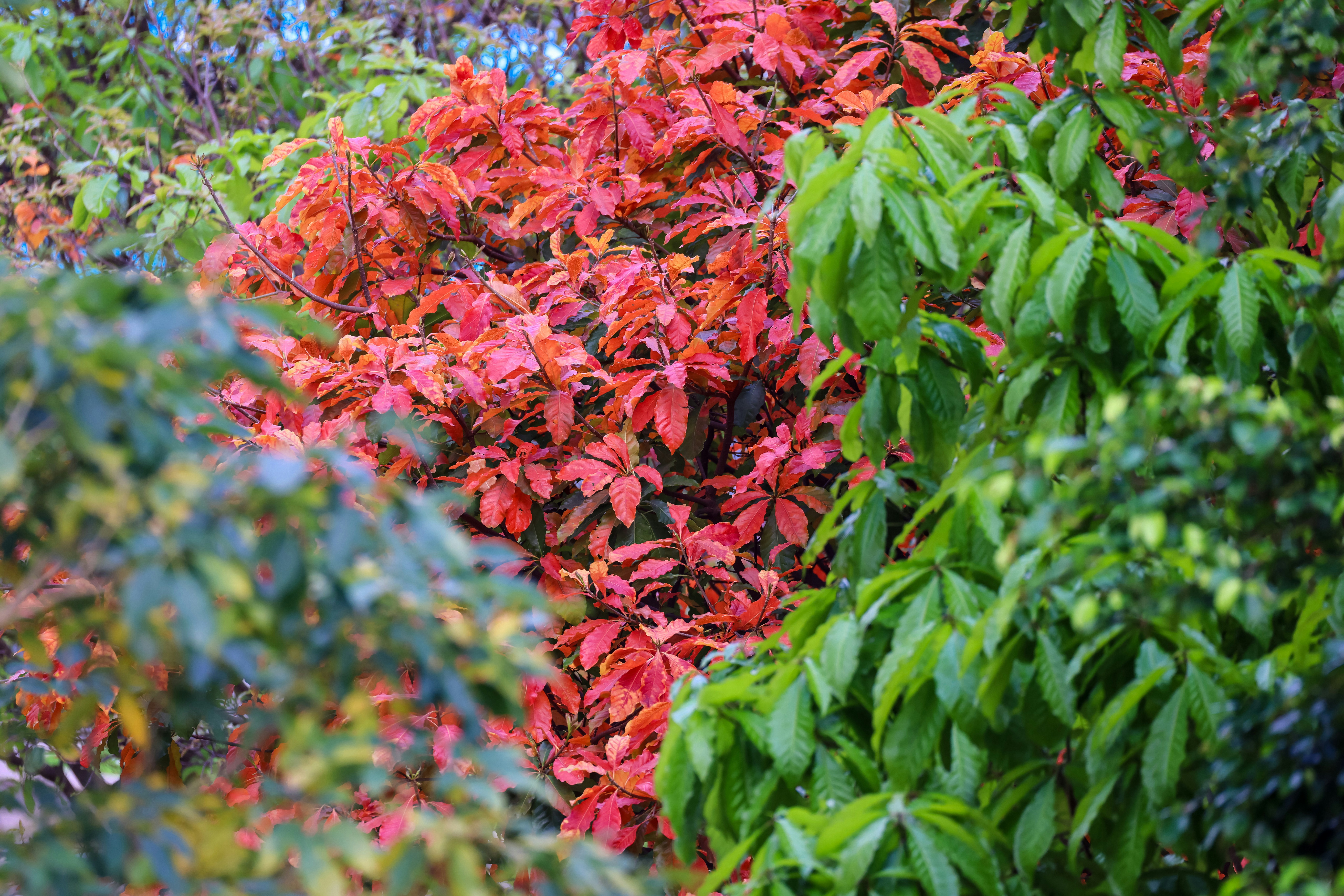 Photo by dickenslin76