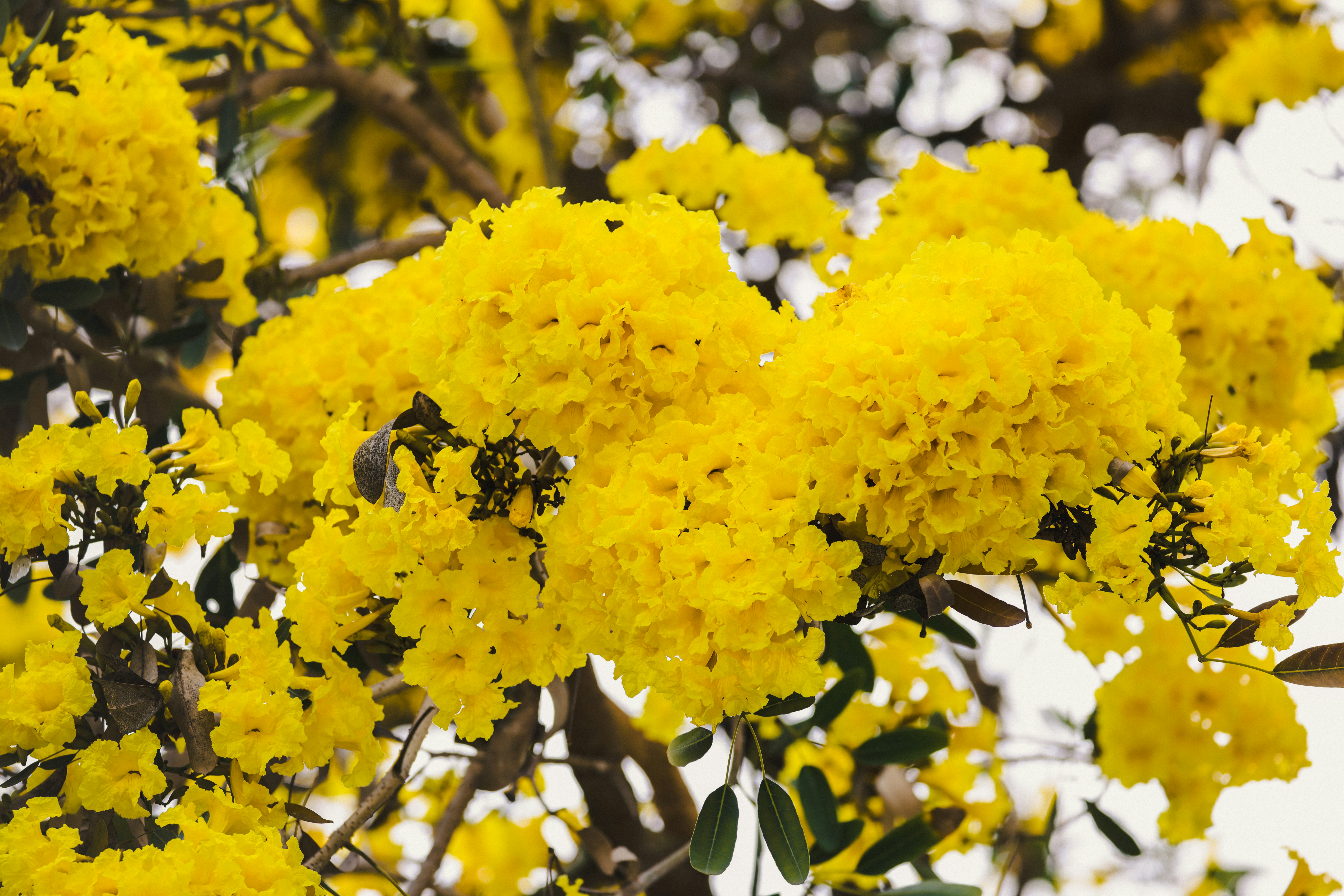 Photo by dickenslin76