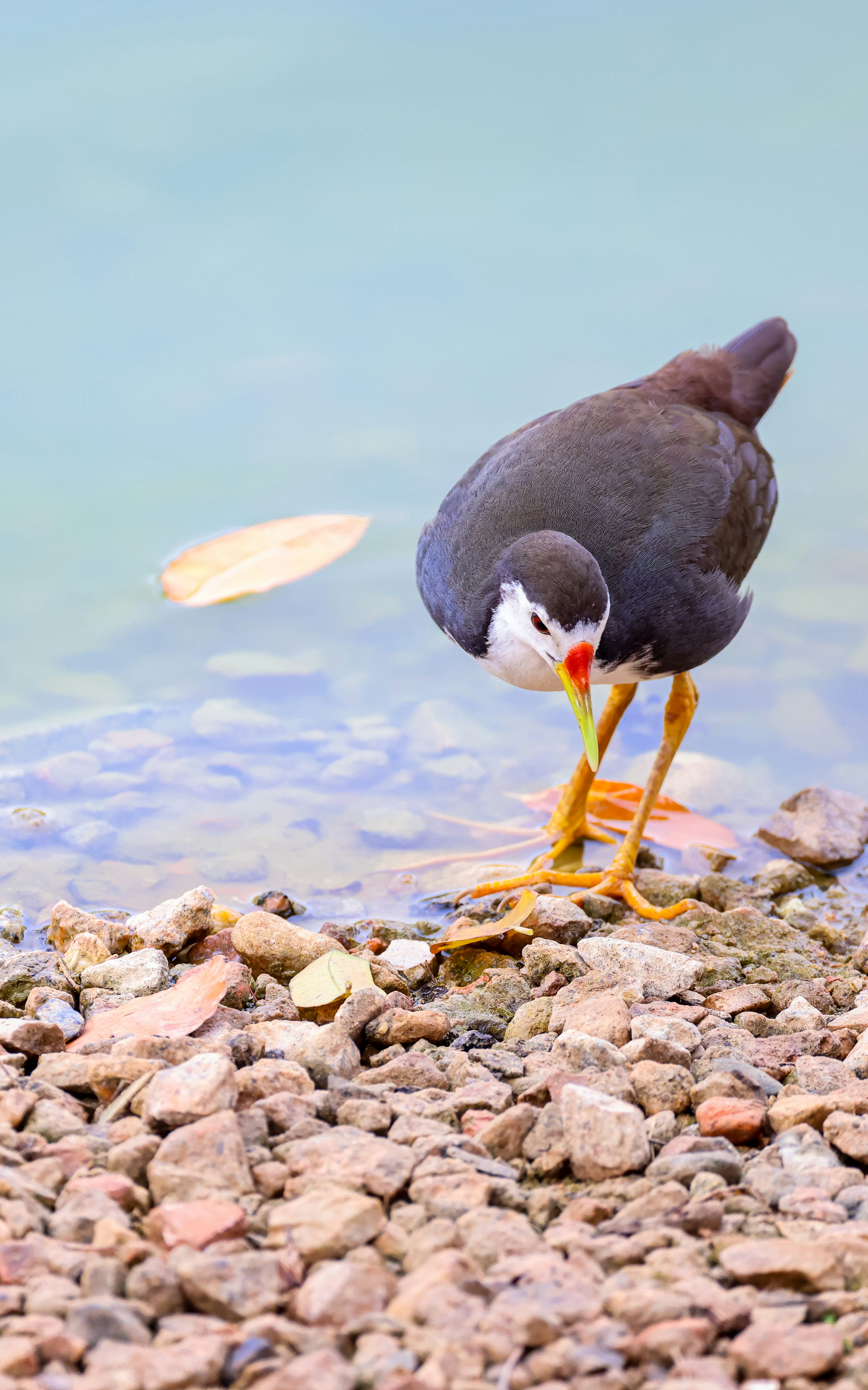 Photo by dickenslin76