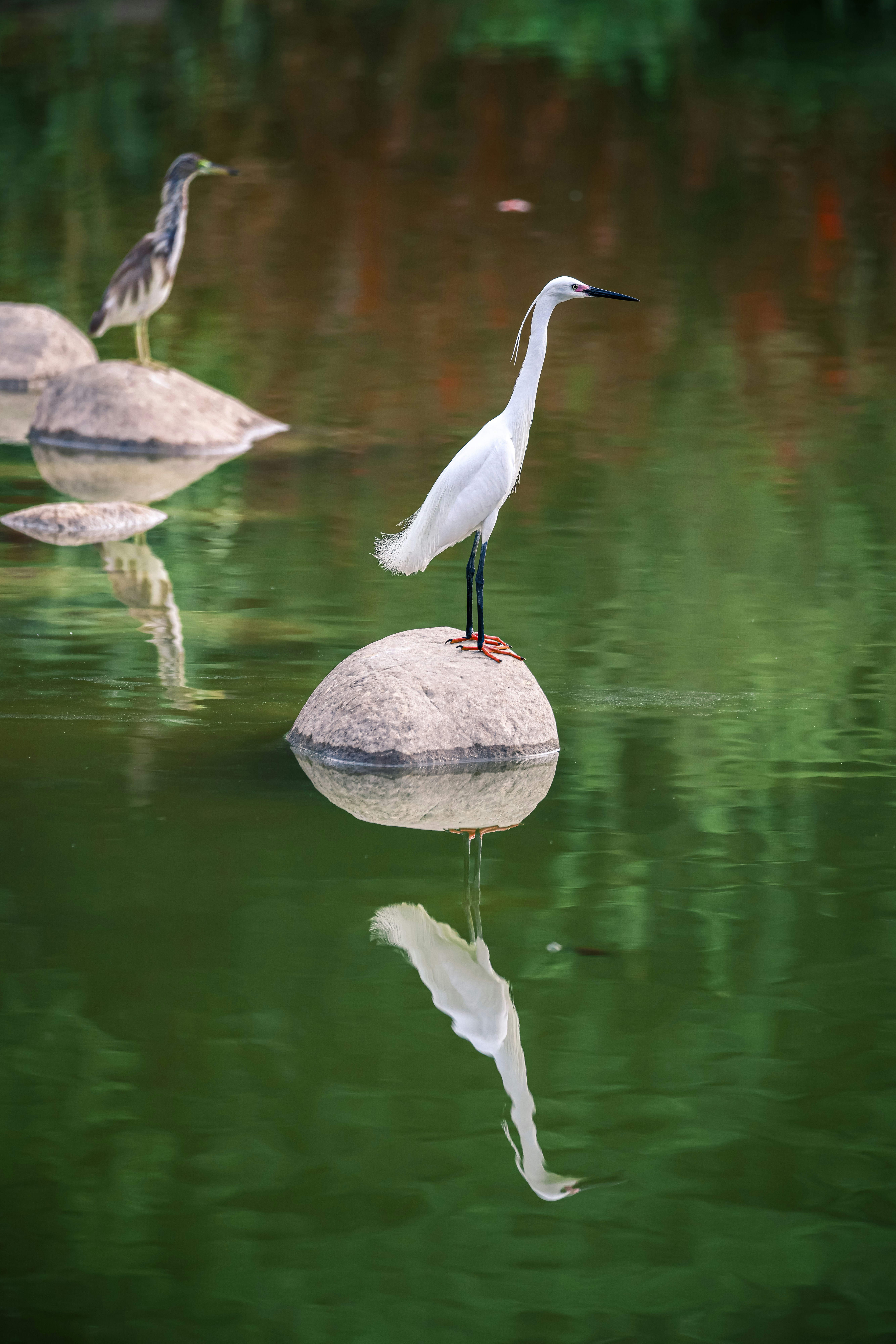 Photo by dickenslin76