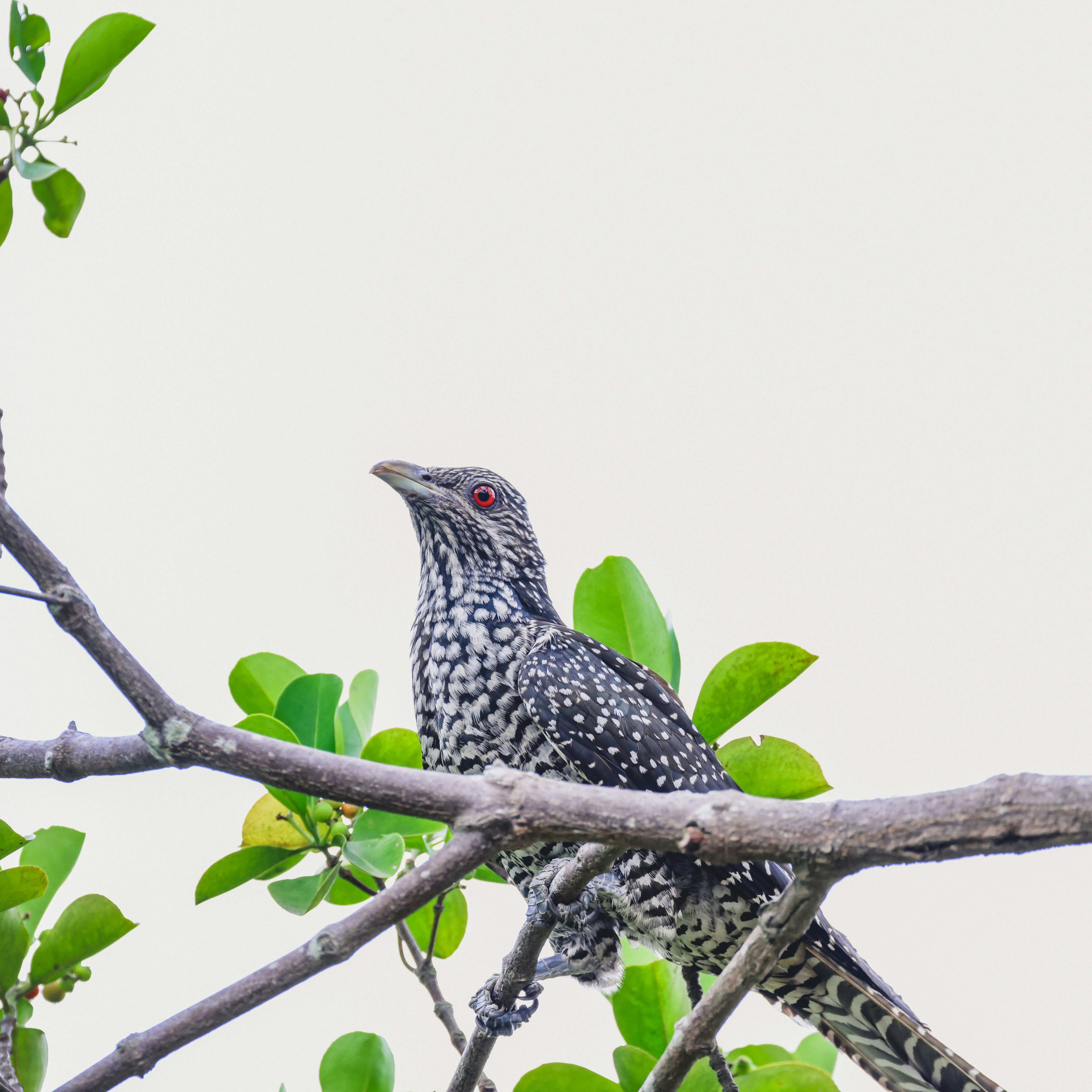 Photo by dickenslin76