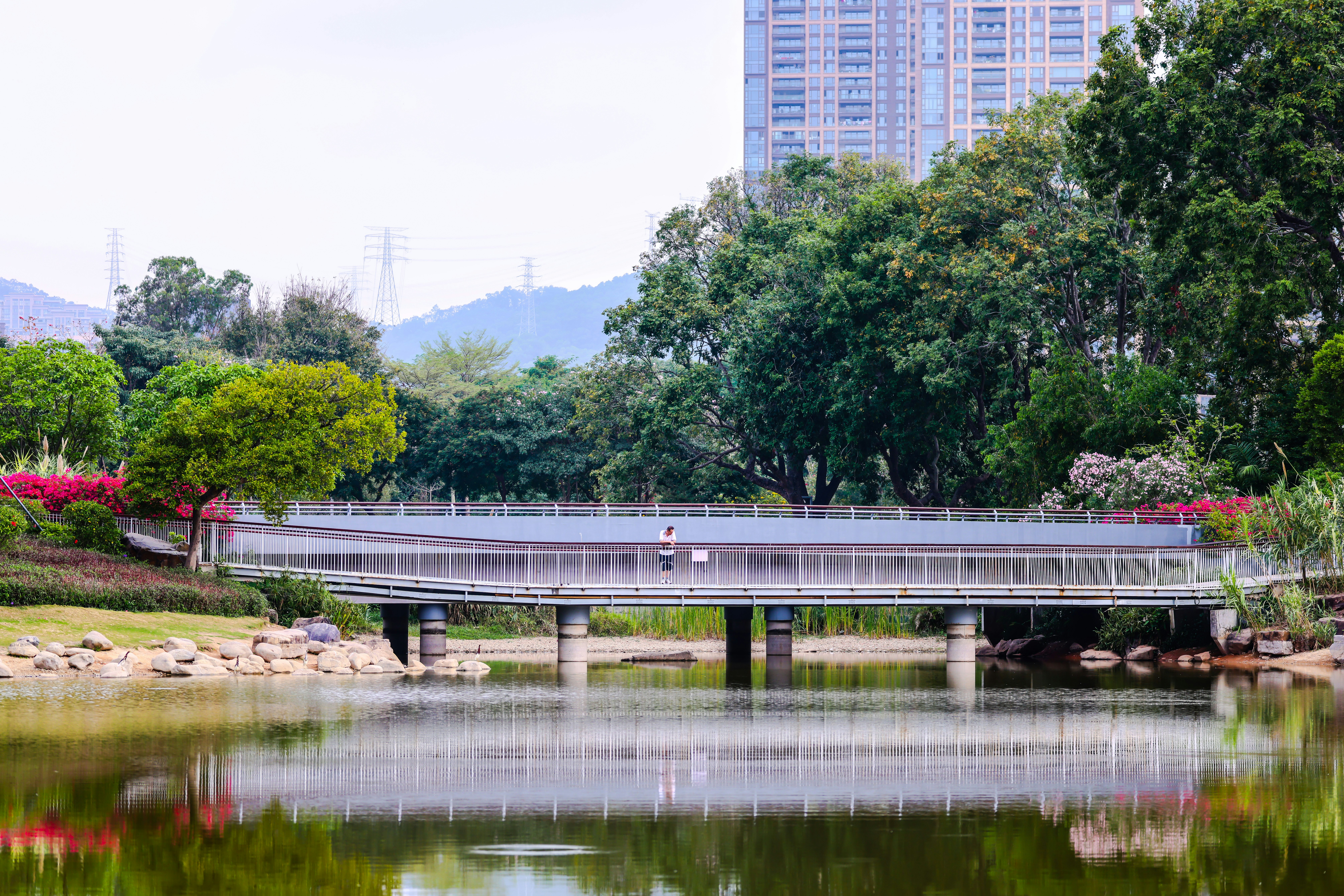 Photo by dickenslin76