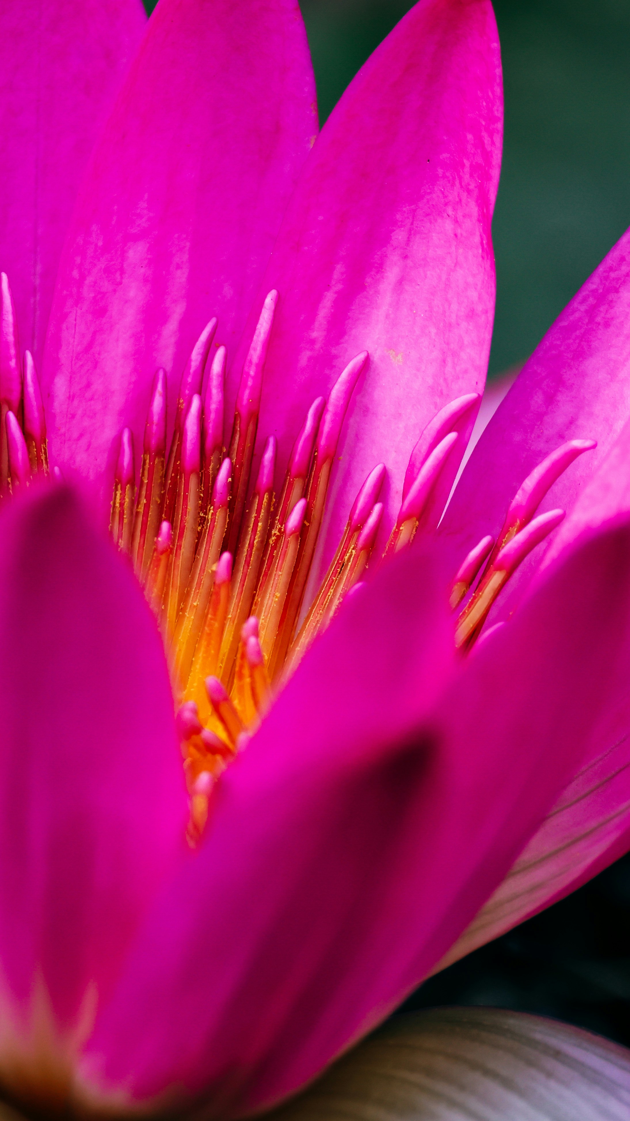 Photo by dickenslin76