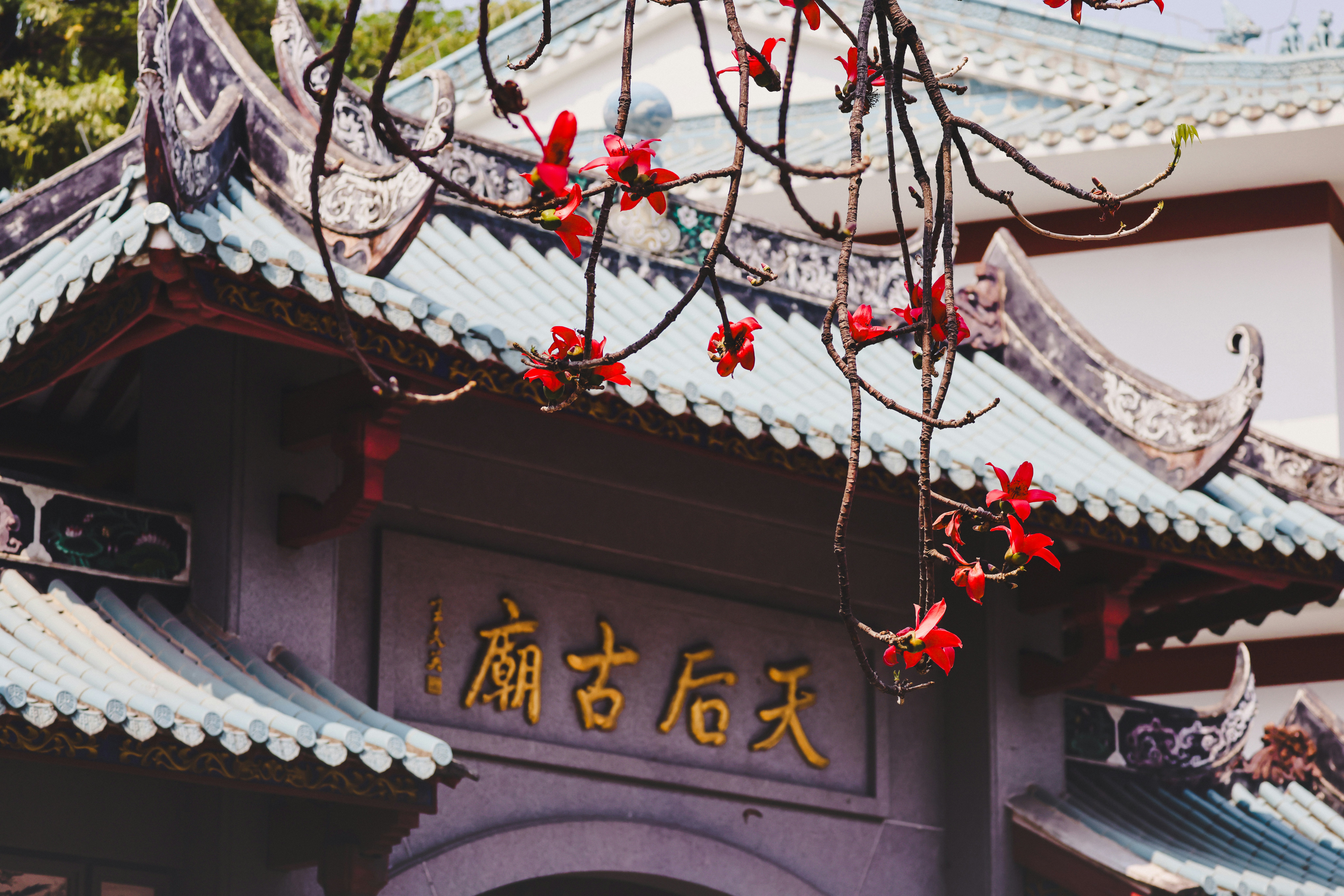 Photo by dickenslin76