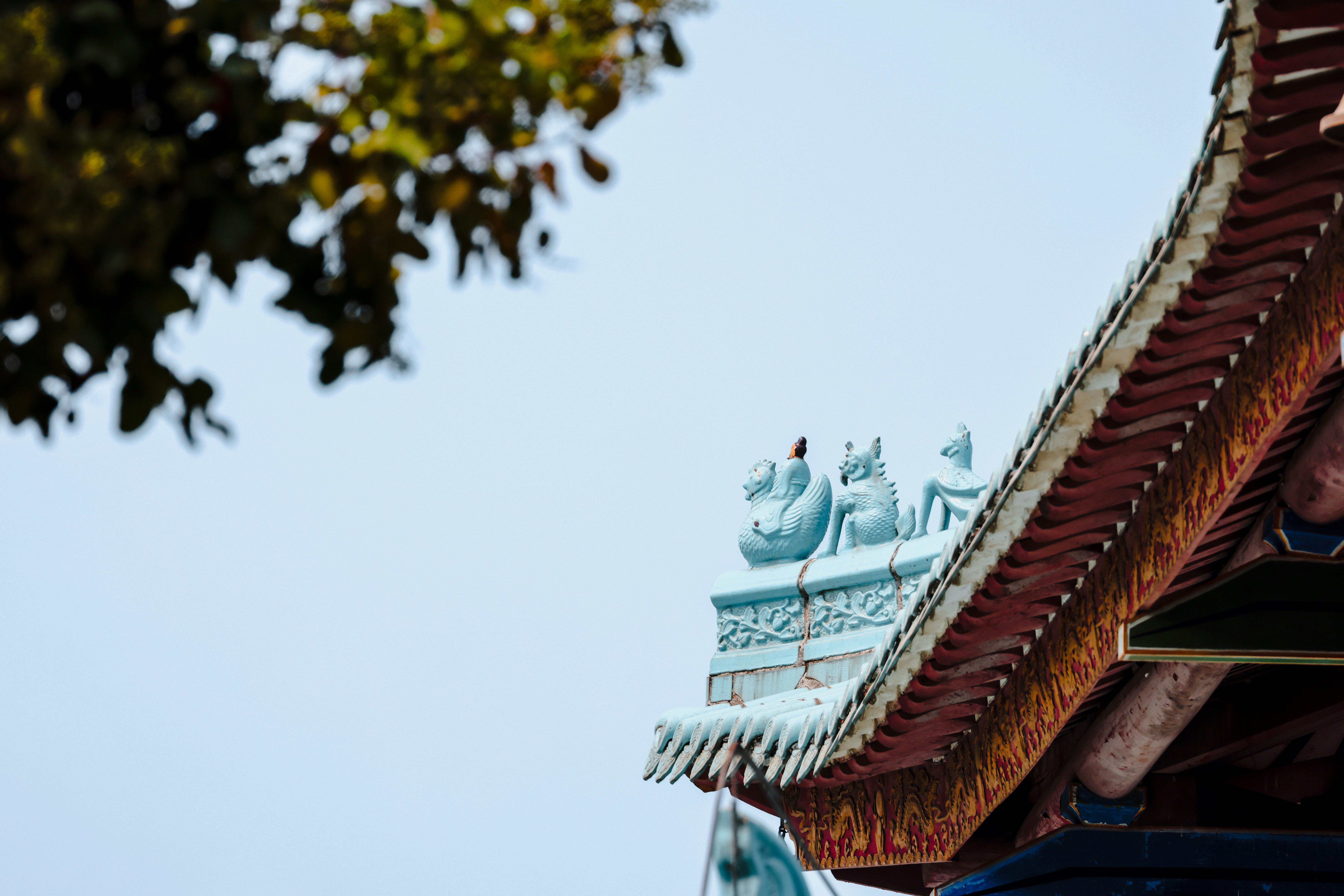 Photo by dickenslin76