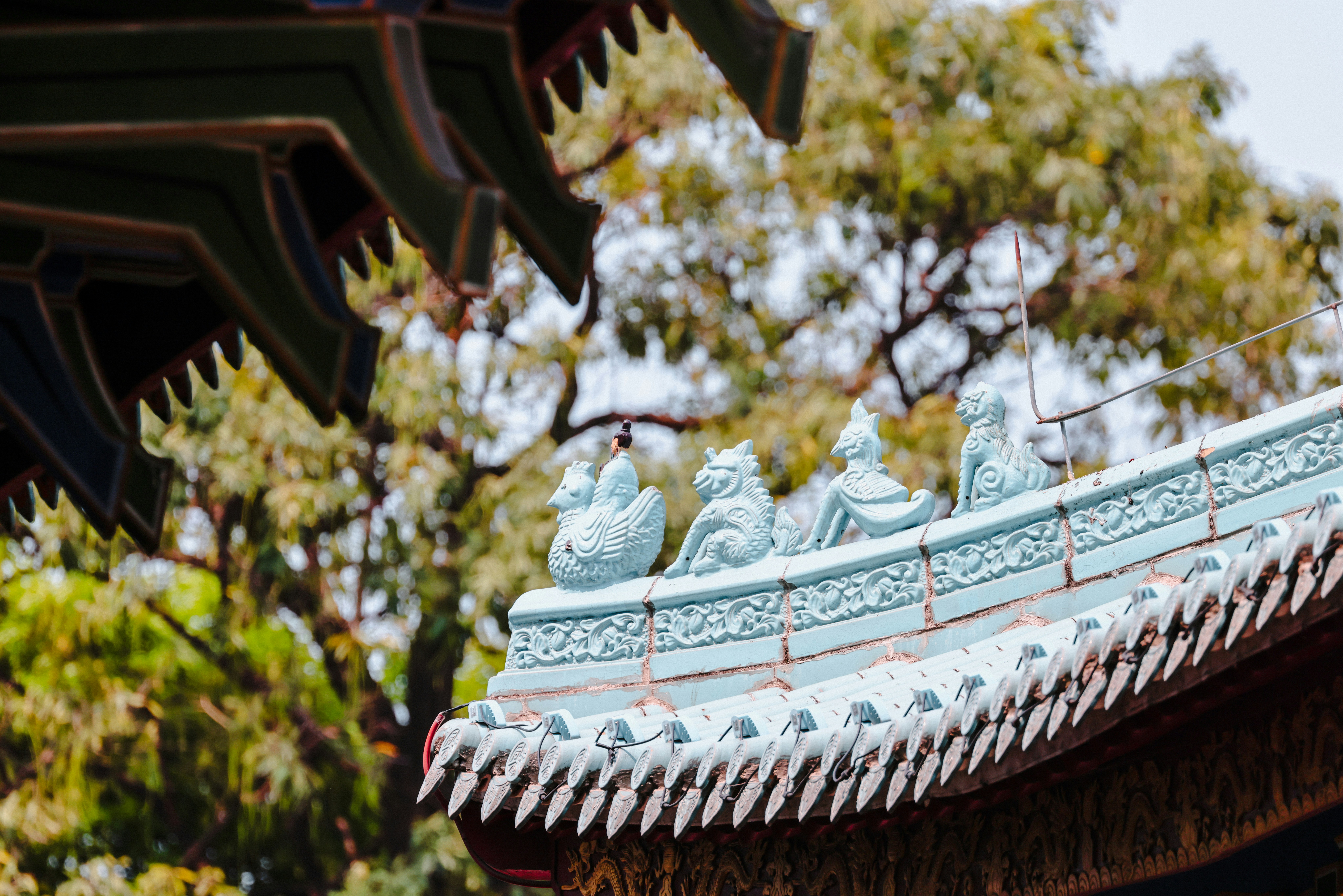 Photo by dickenslin76