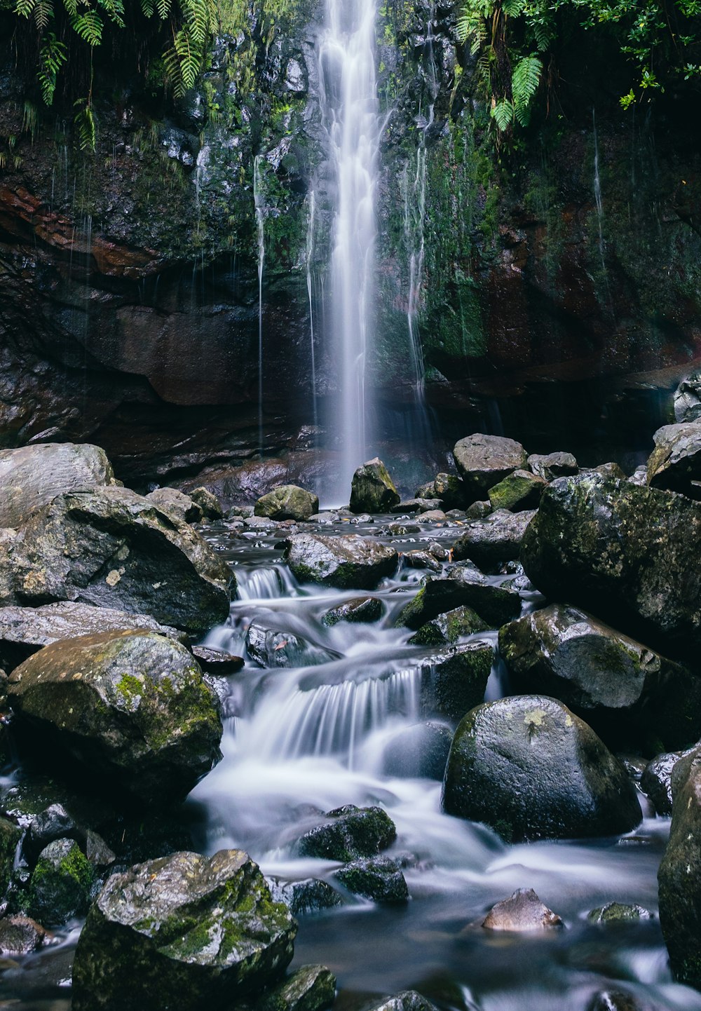 a small waterfall in the middle of a forest