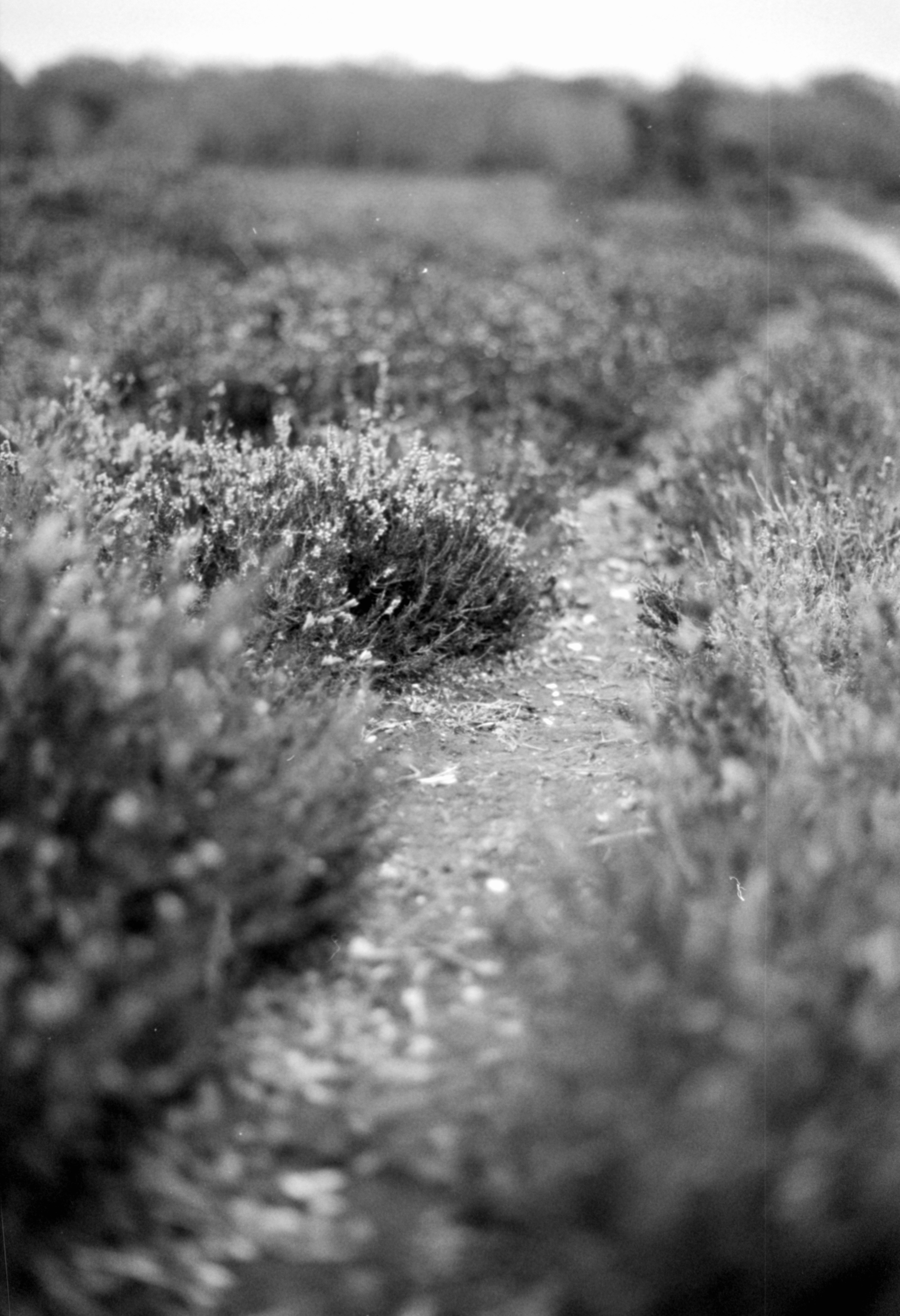 Photo by anniespratt