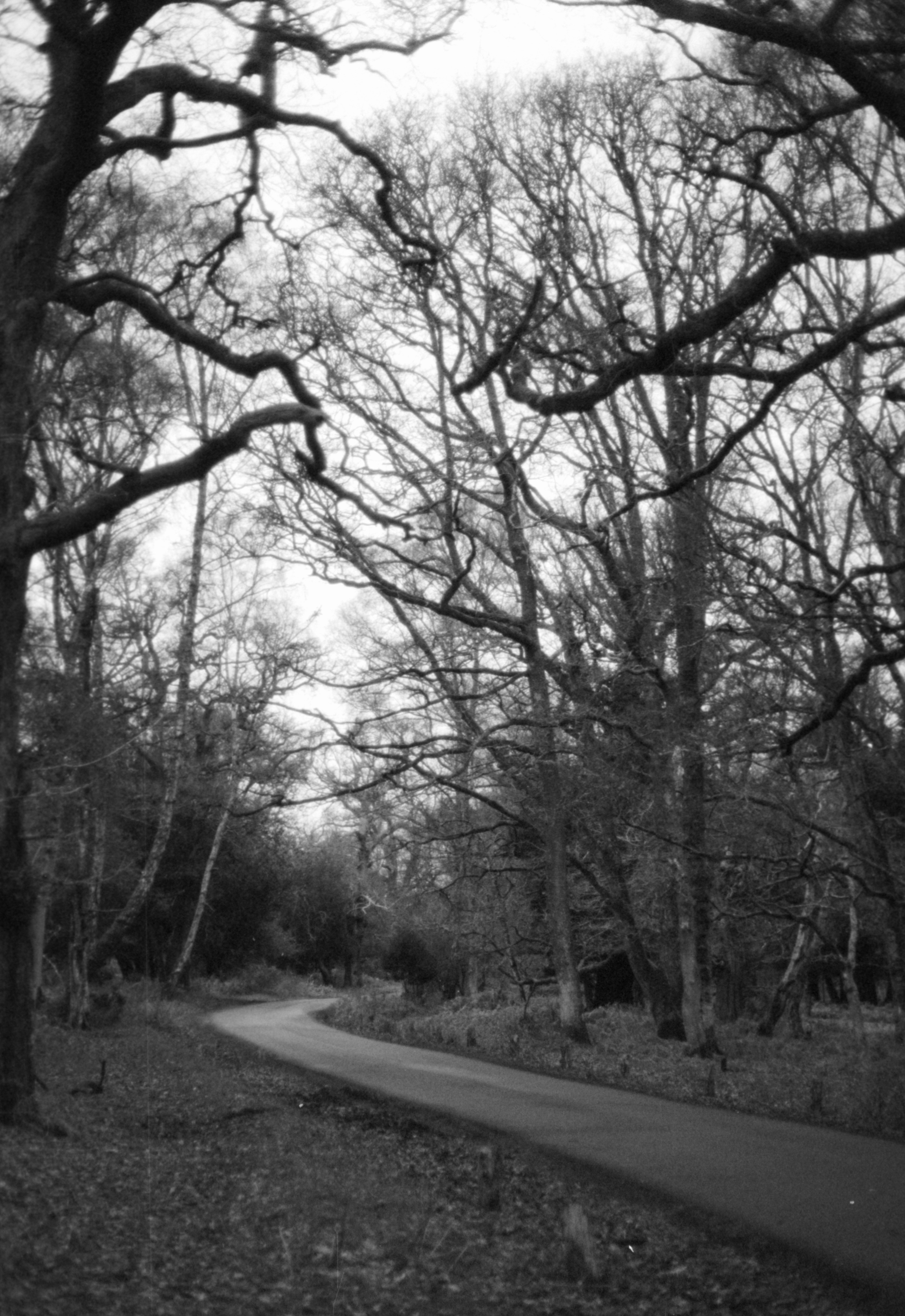 Photo by anniespratt