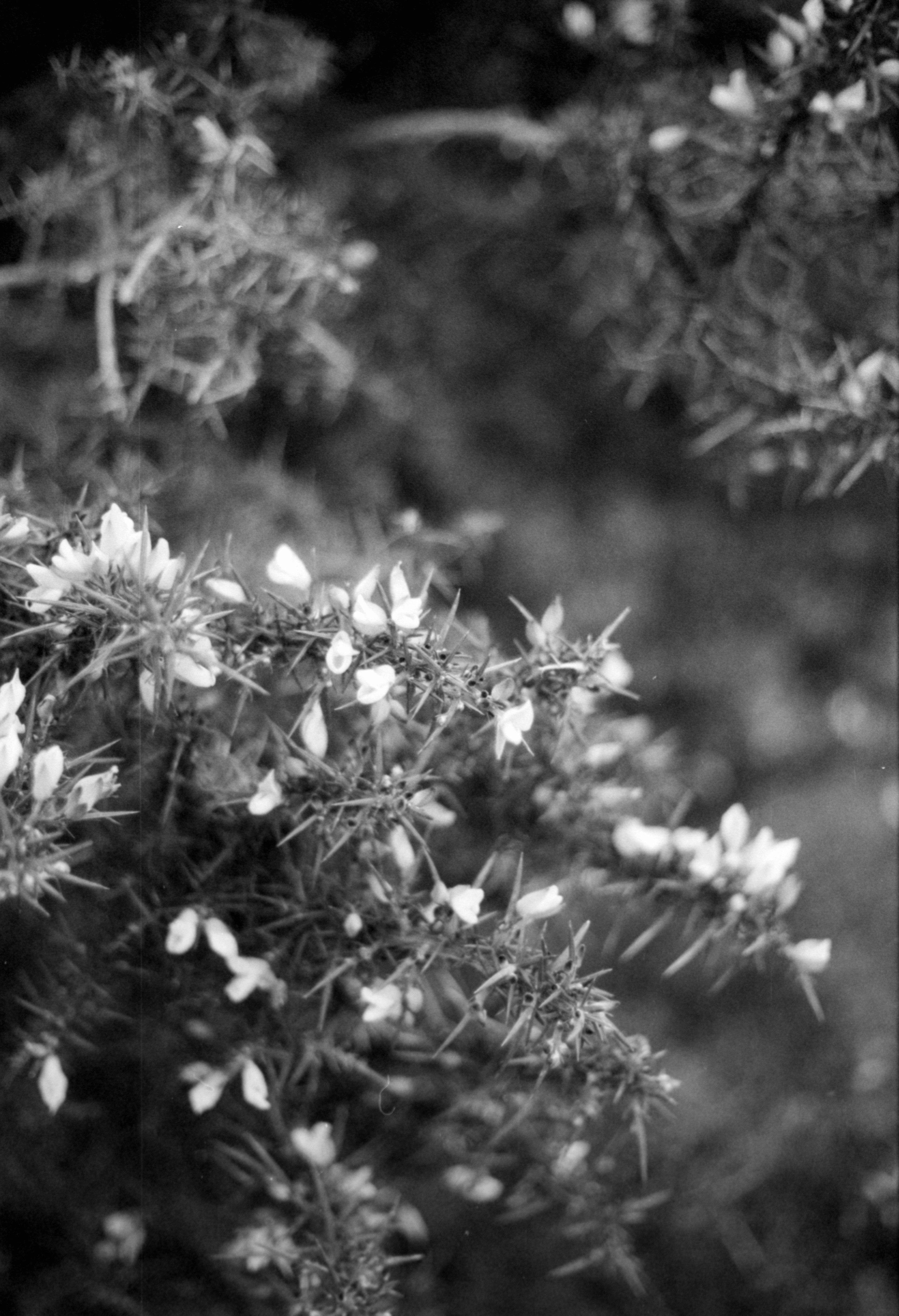 Photo by anniespratt