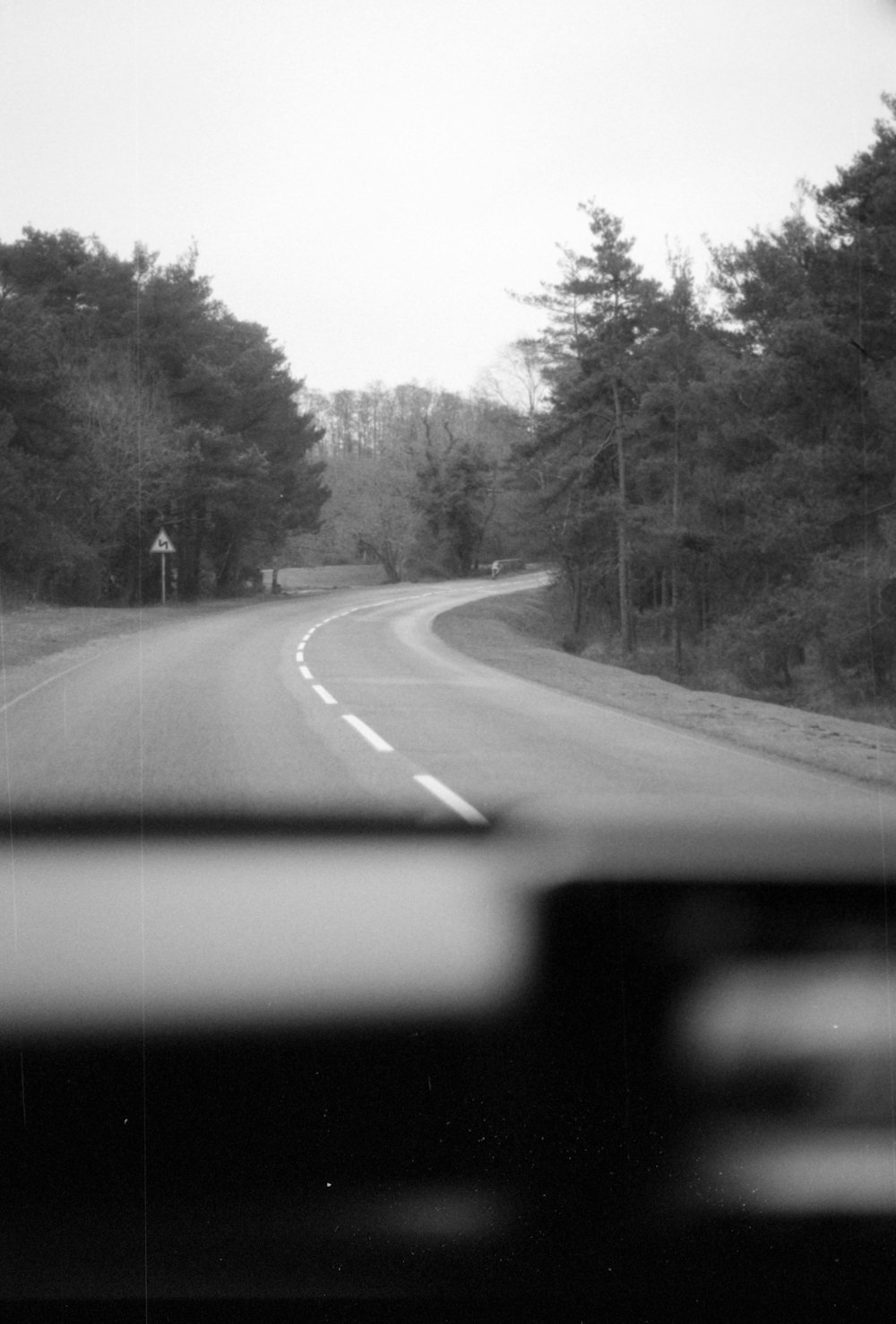 a black and white photo of a road and trees