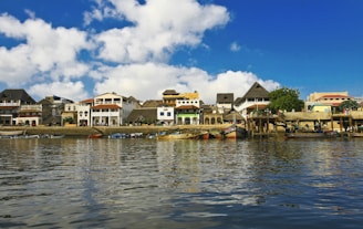 a body of water with a bunch of houses on it