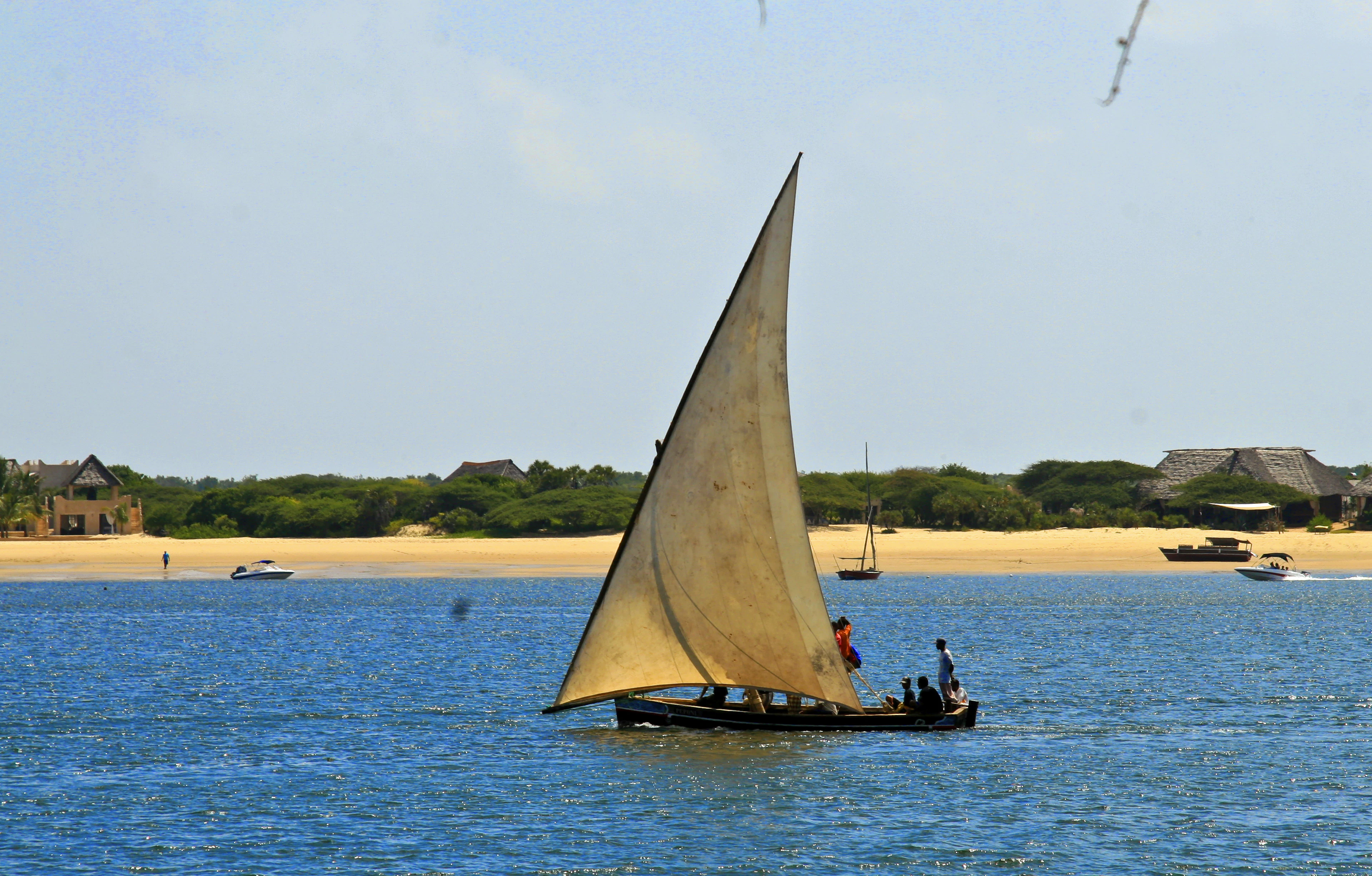Traditional dhow sailing near a palm-fringed white sand beach
