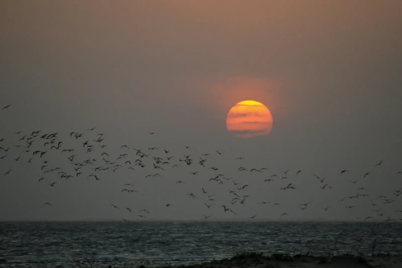 Sunset over the Lamu channel
