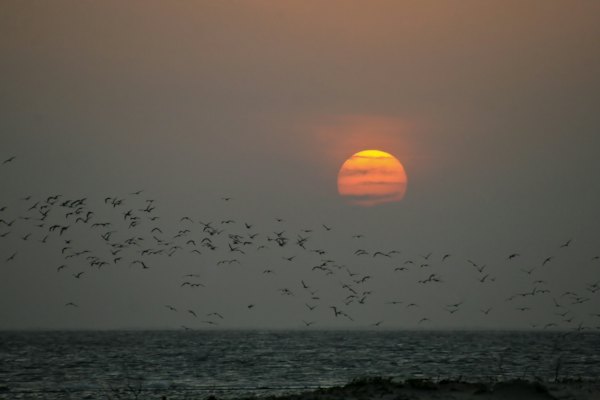 Sunset over the water — Lamu, Kenya