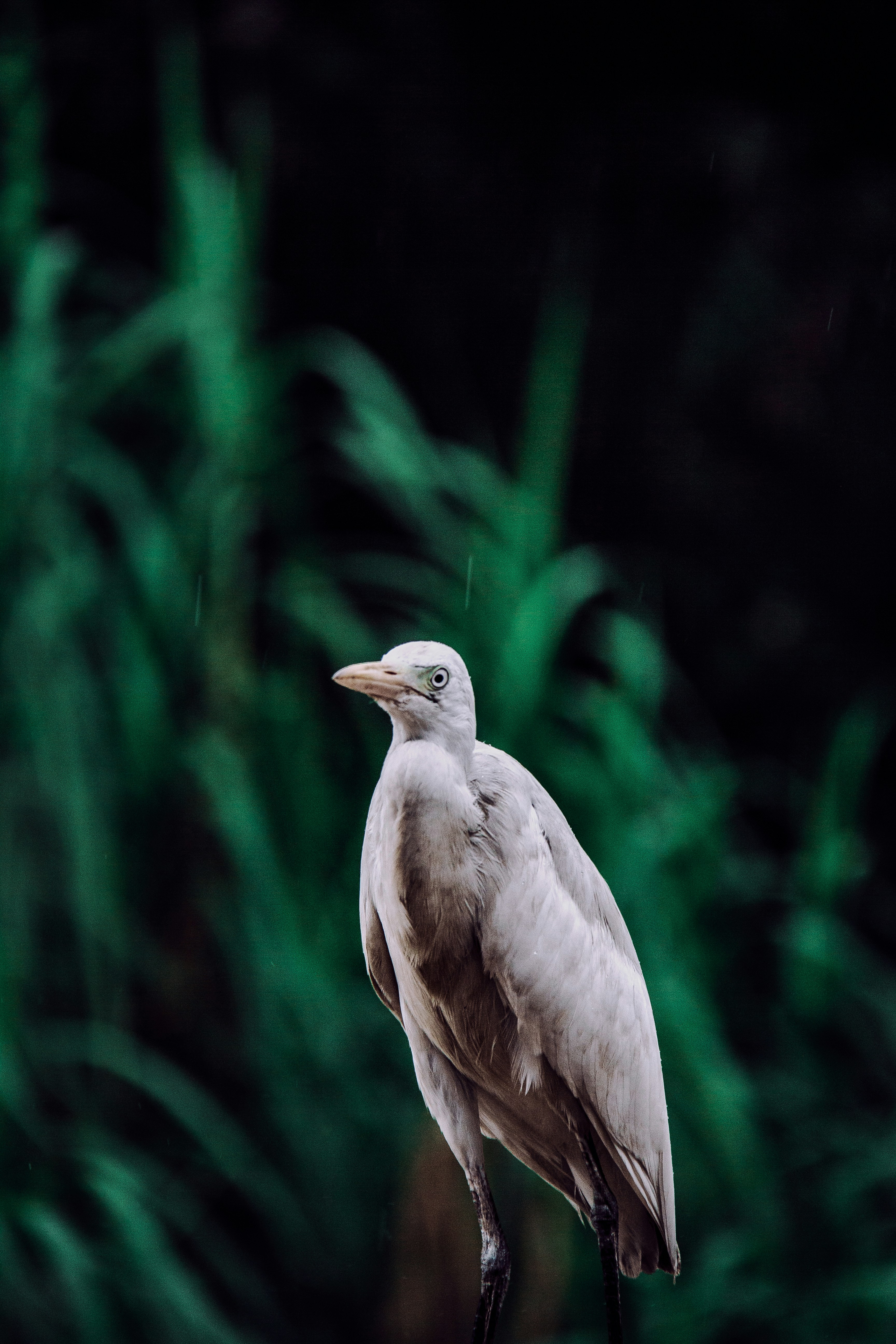 Photo by jealife_pictures