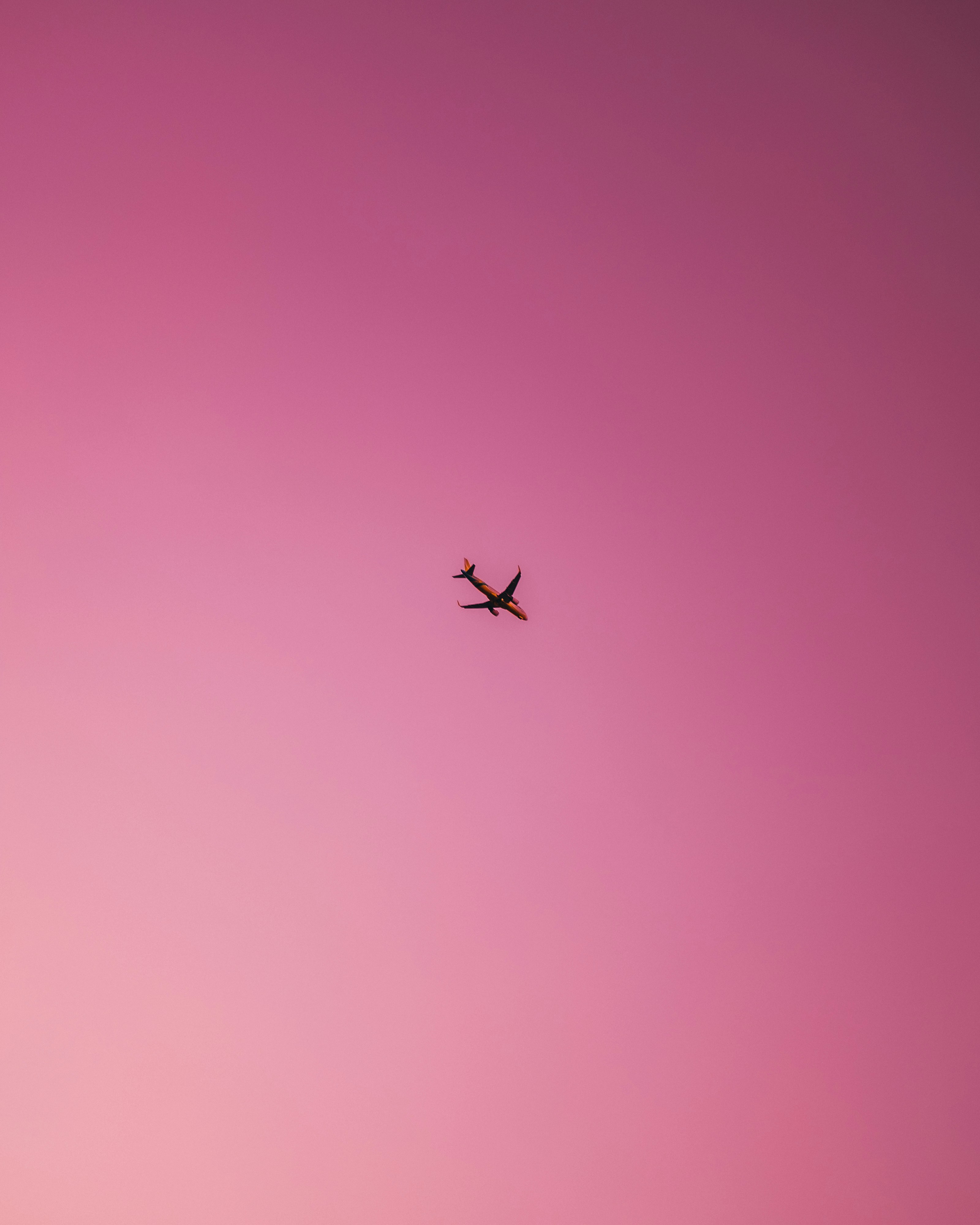 Photo by sbellocillo