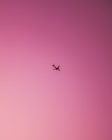 an airplane is flying in the pink sky