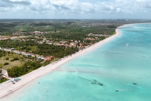 a bird's eye view of a beach and ocean