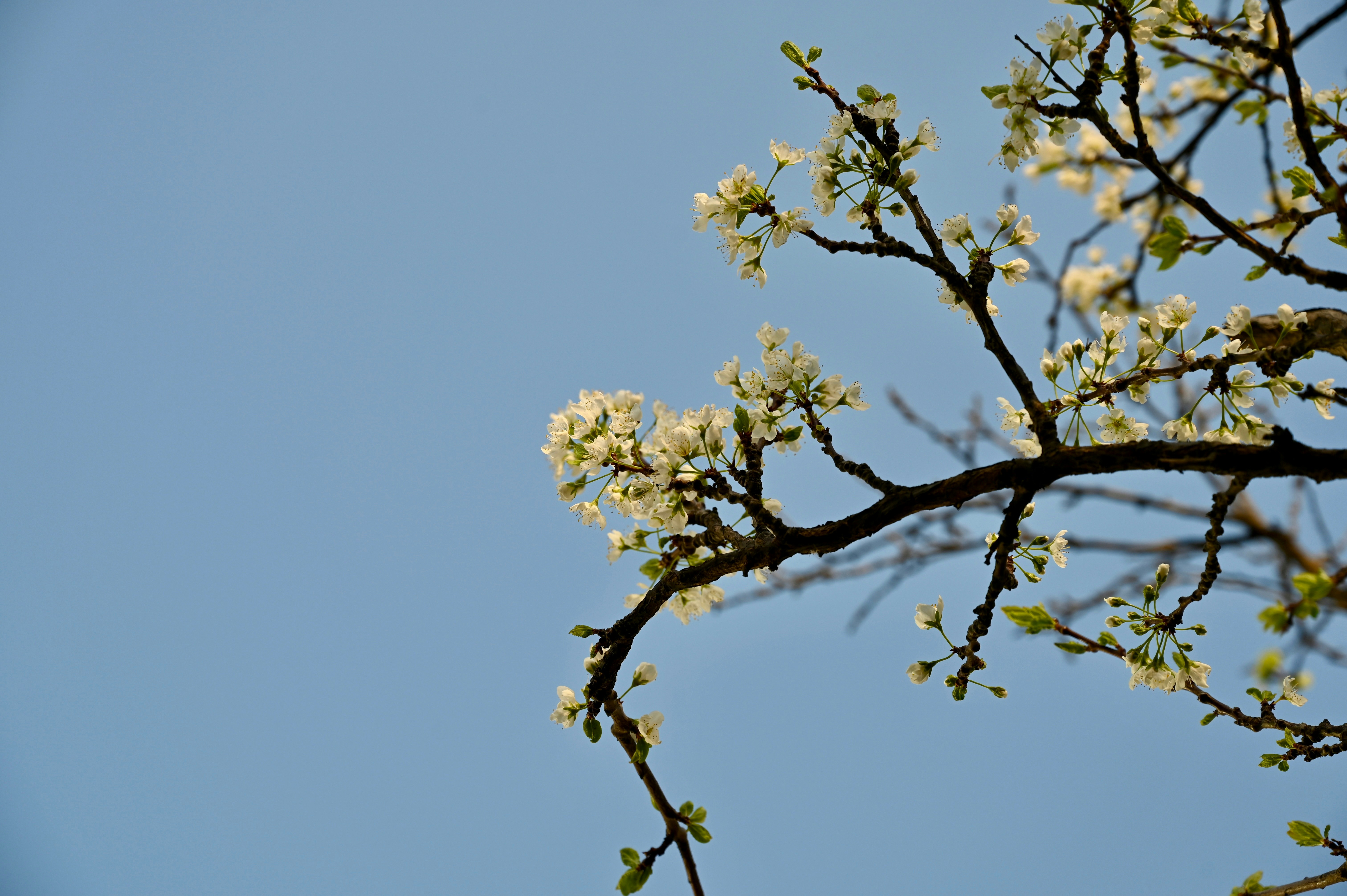 Photo by harryrryrry