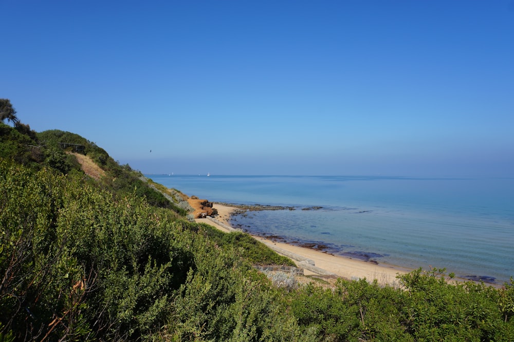 a view of a beach and a body of water