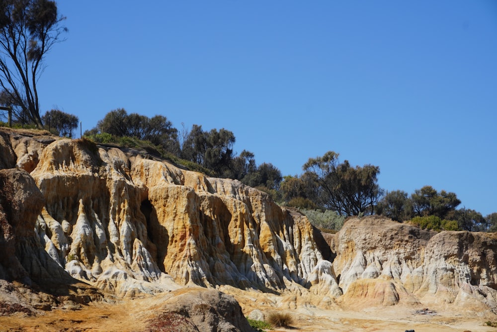 a group of people standing on top of a dirt hill