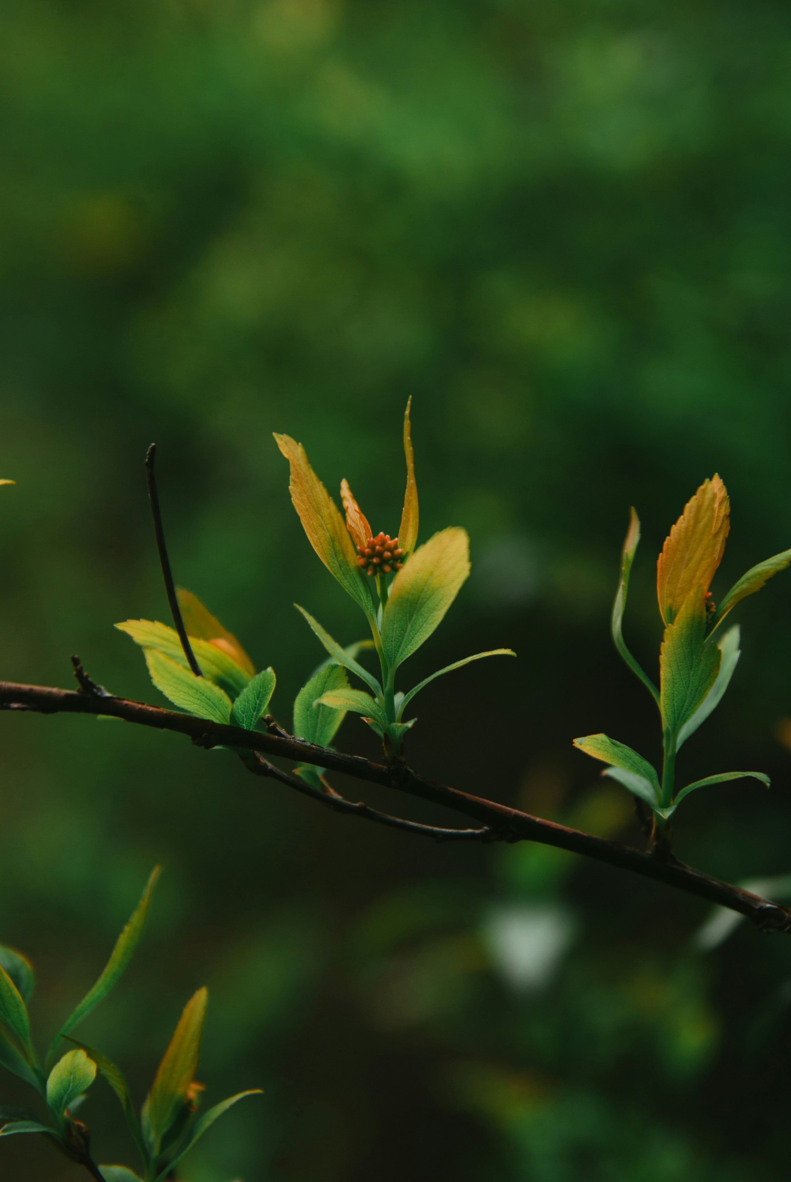 Photo by moonmoons_days