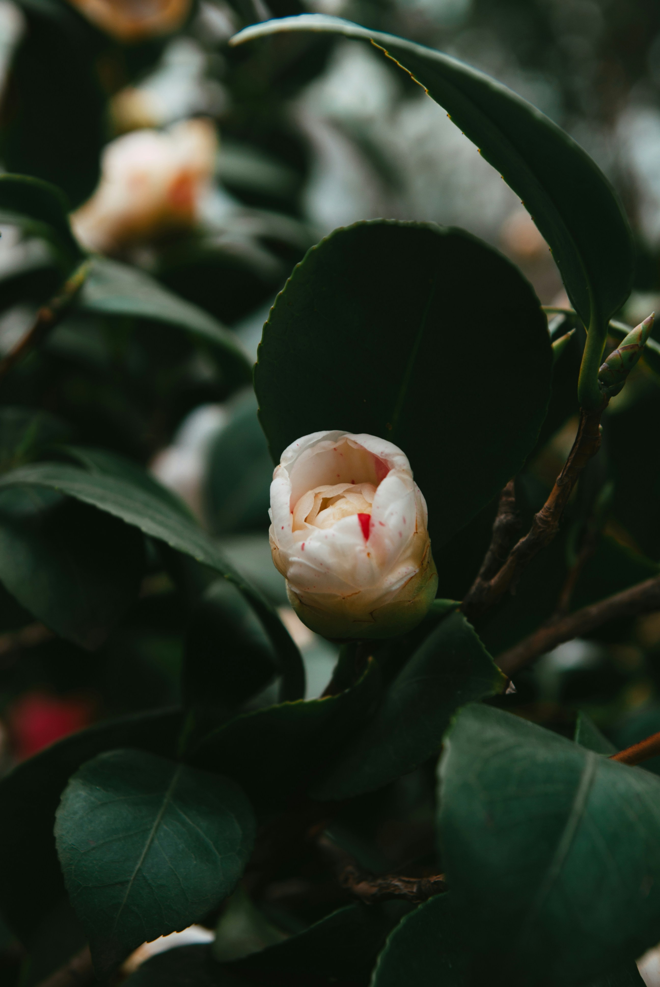 Photo by moonmoons_days