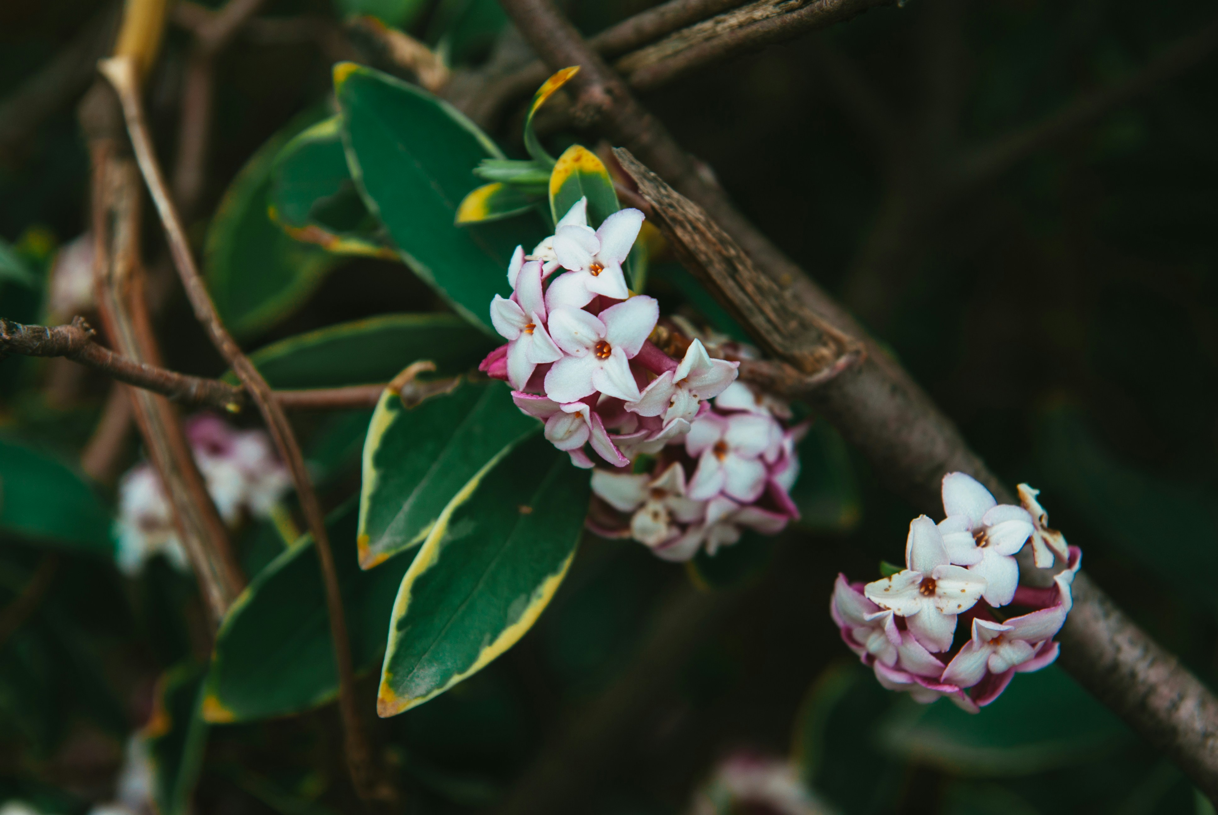 Photo by moonmoons_days