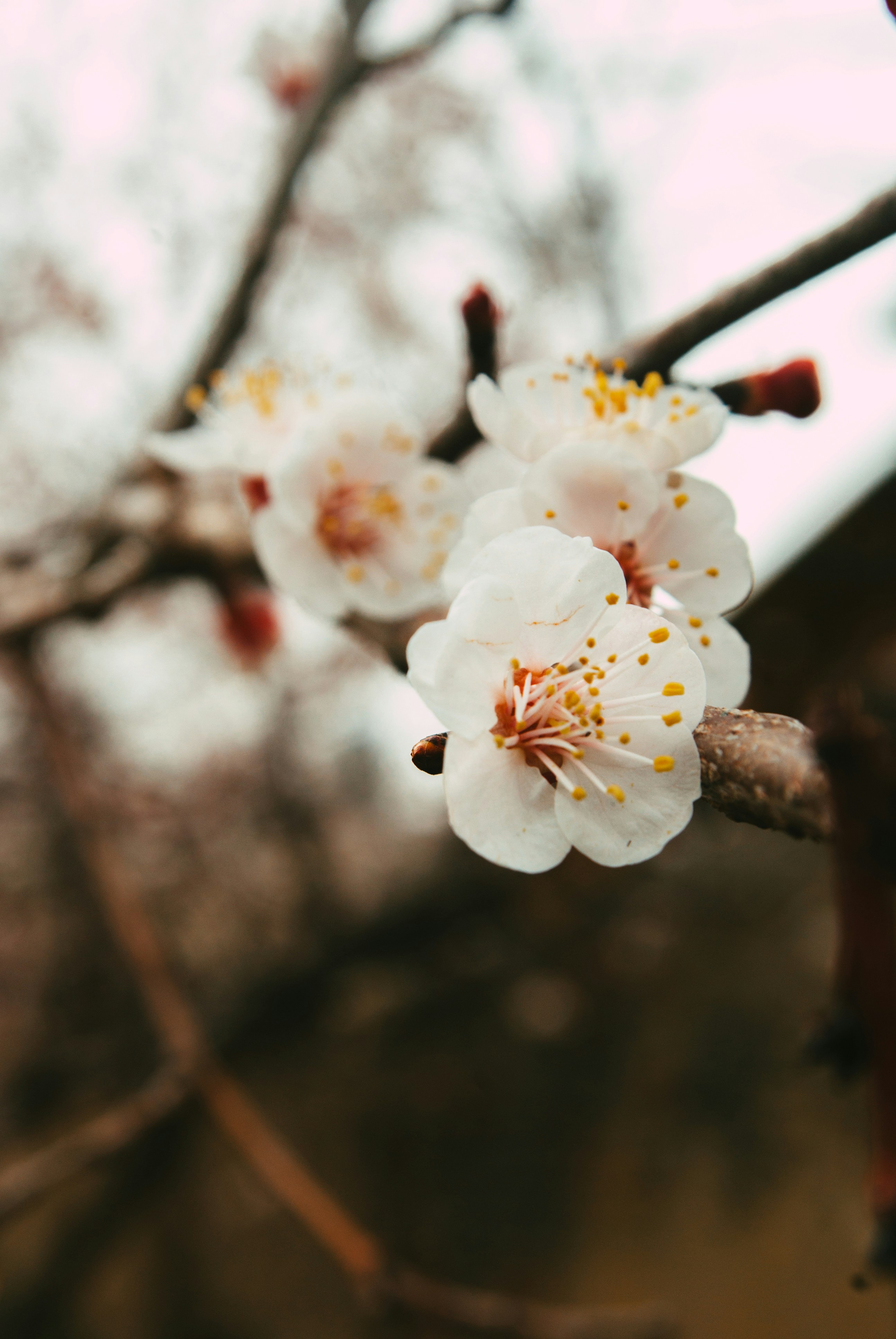 Photo by moonmoons_days