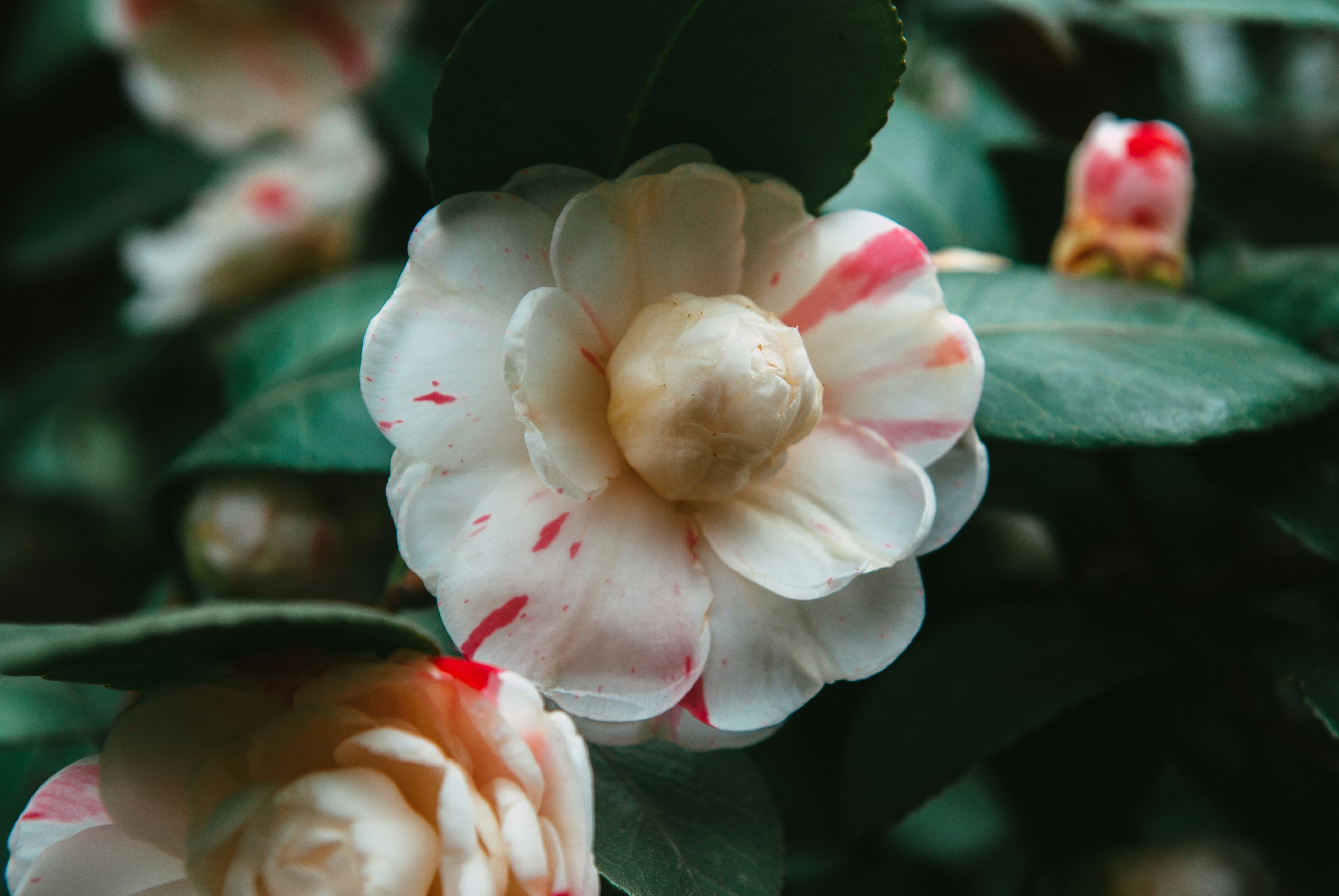 Photo by moonmoons_days