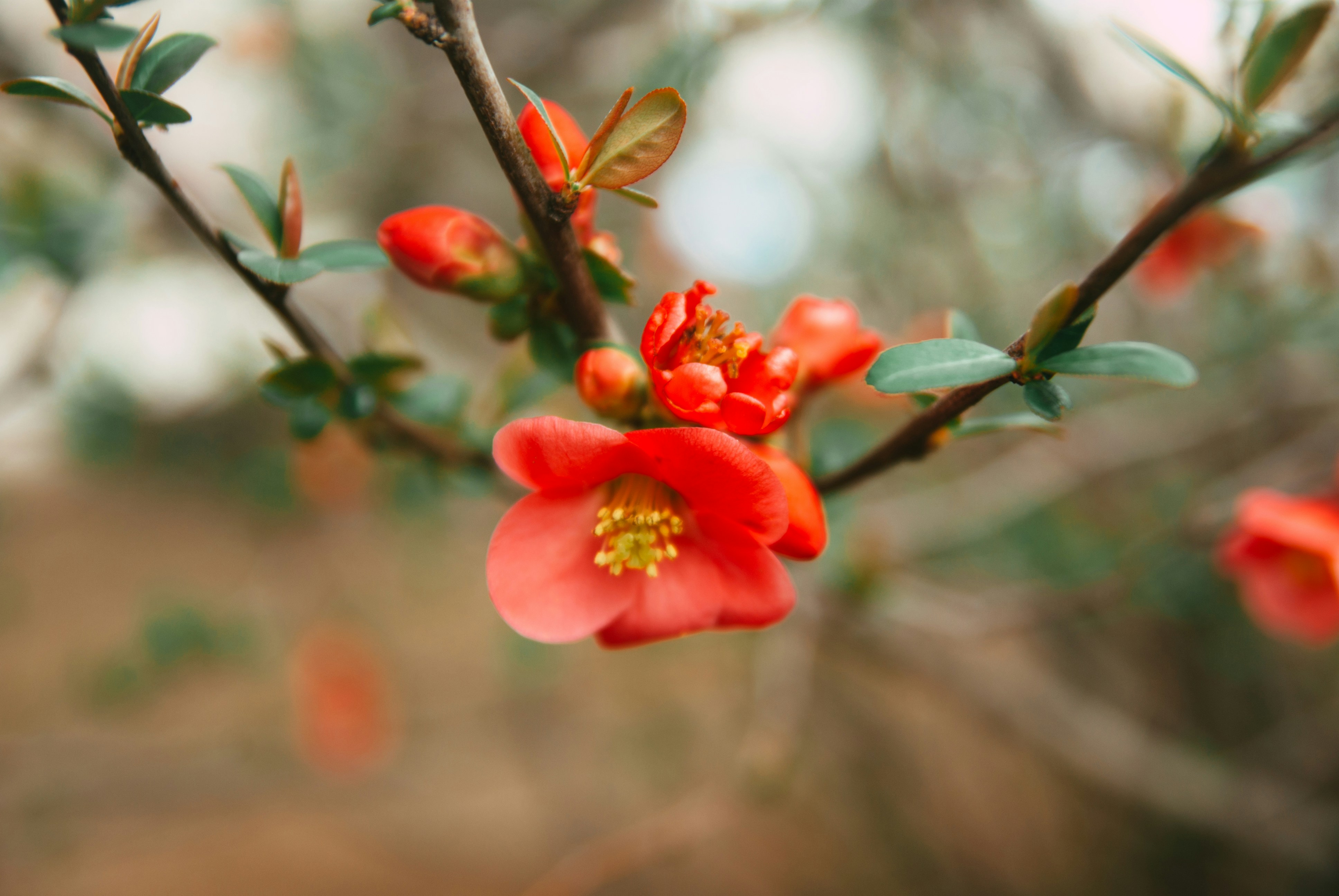 Photo by moonmoons_days