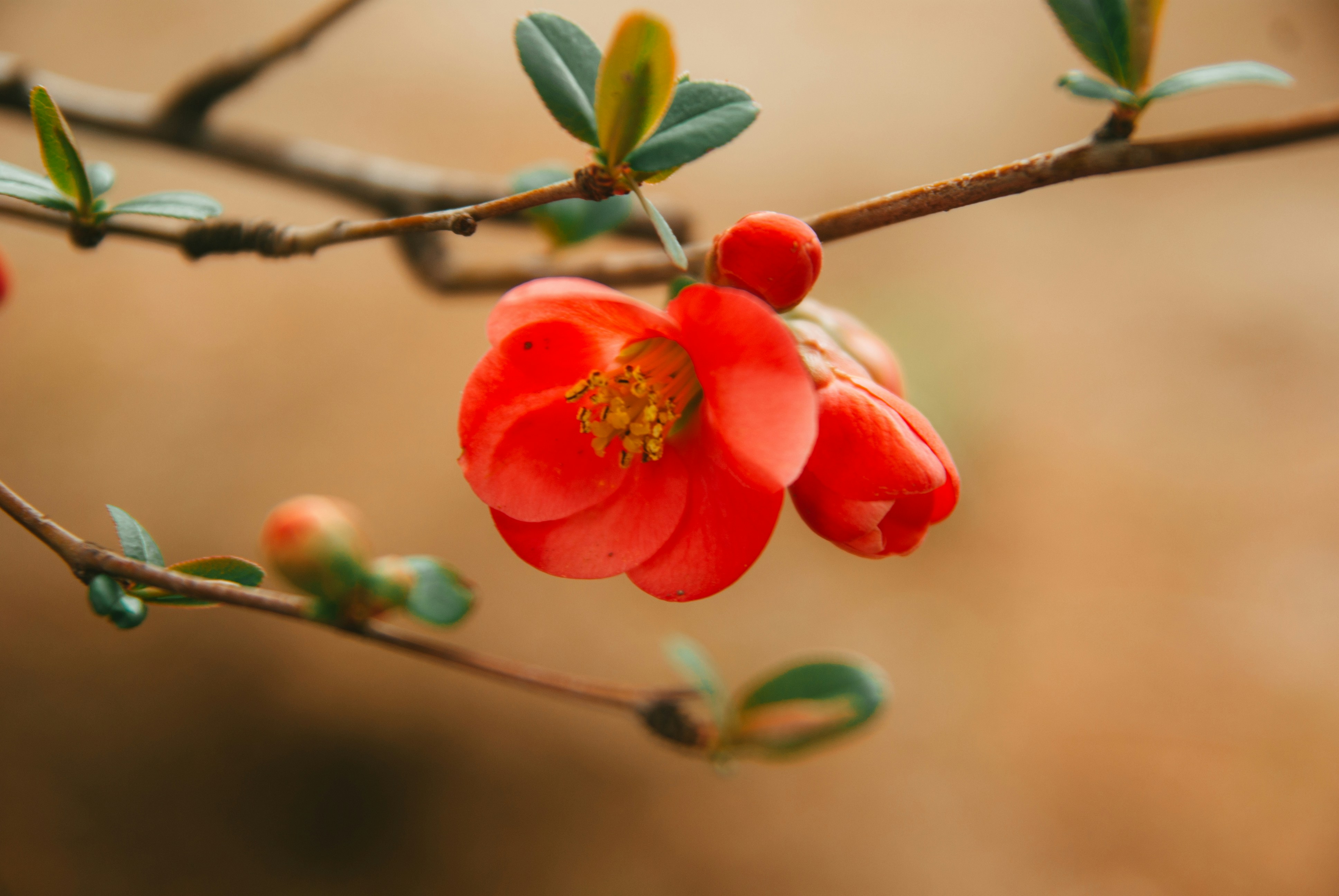 Photo by moonmoons_days