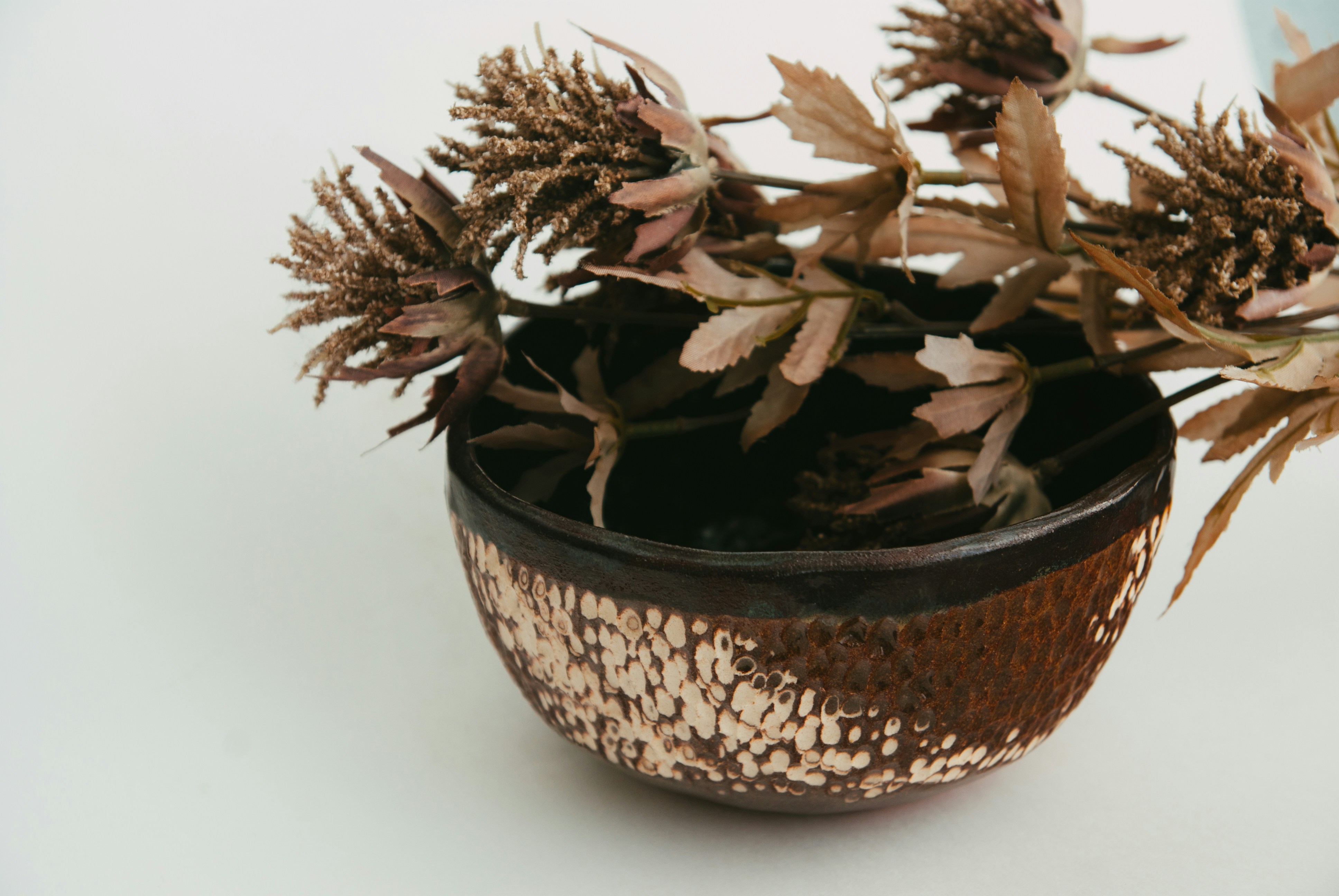 Photo by moonmoons_days