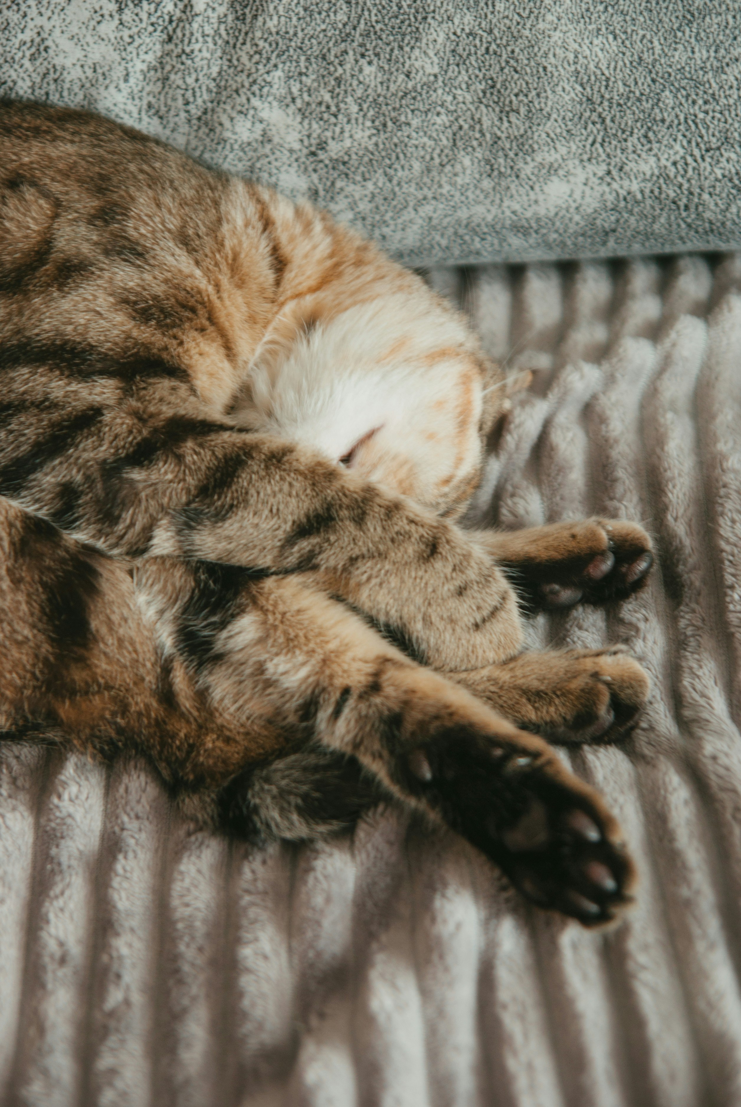 Photo by moonmoons_days