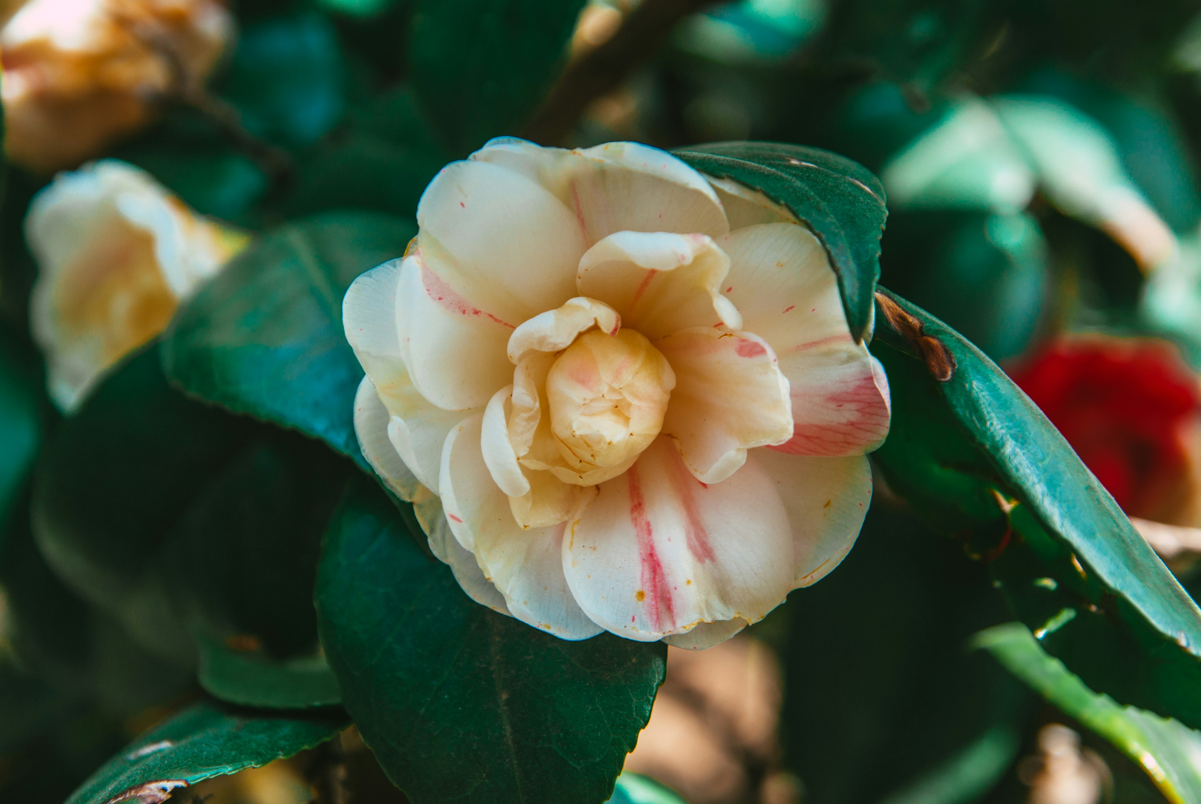 Photo by moonmoons_days