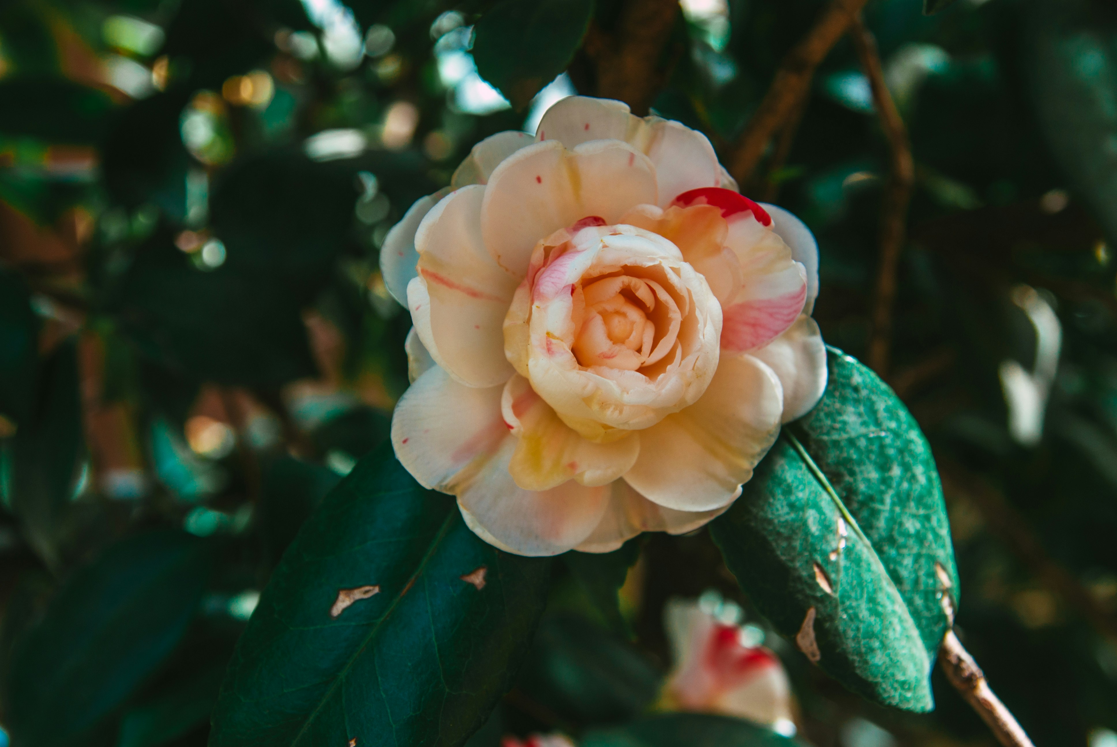 Photo by moonmoons_days