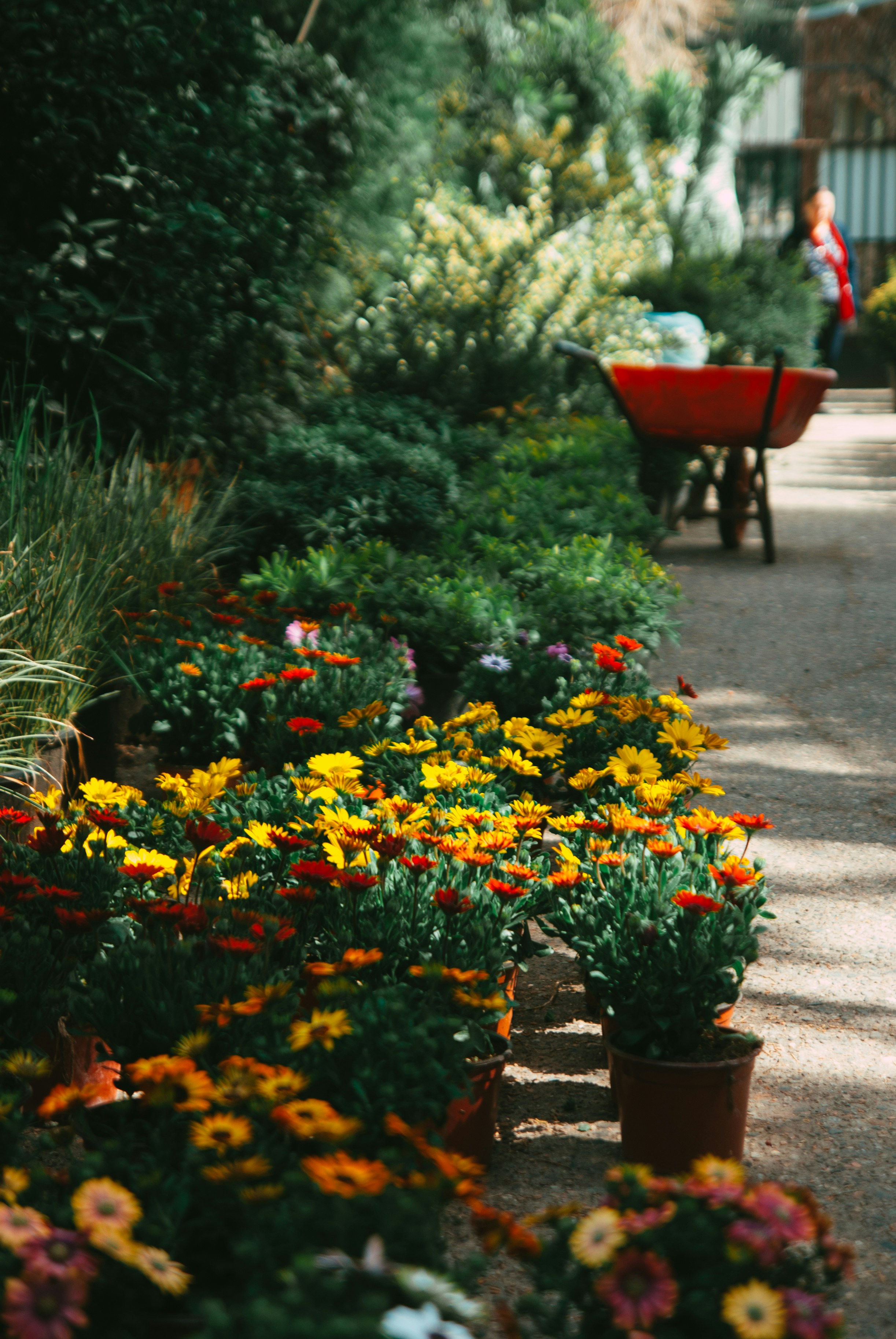 Photo by moonmoons_days