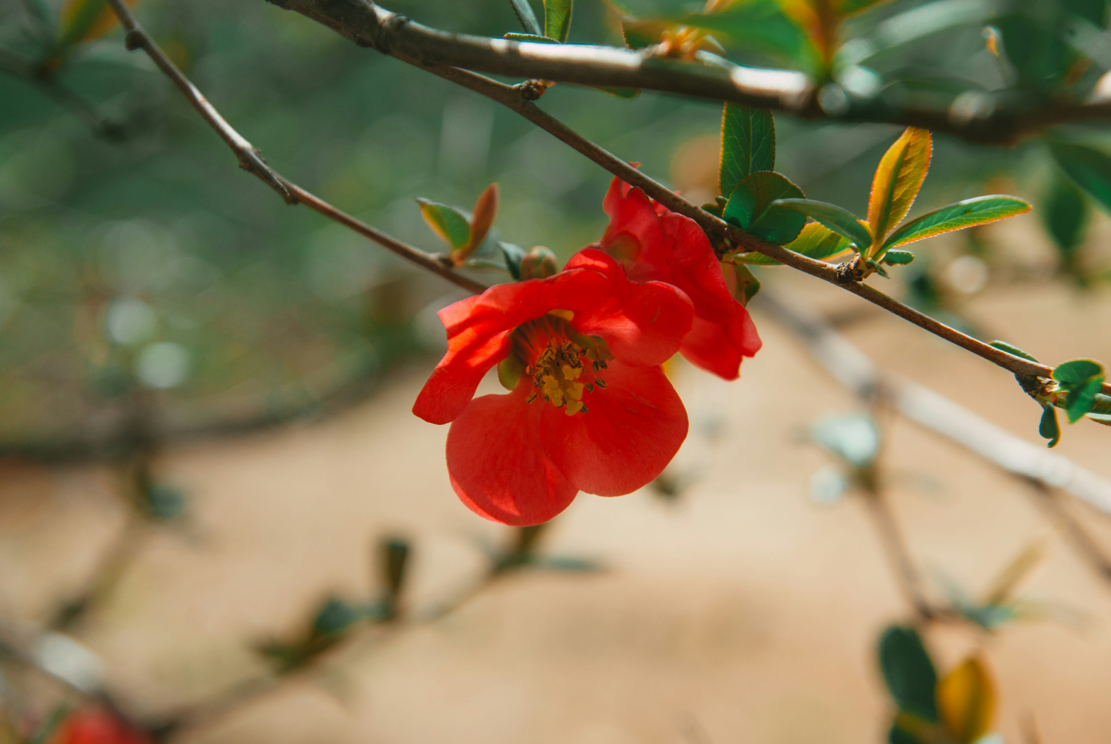 Photo by moonmoons_days