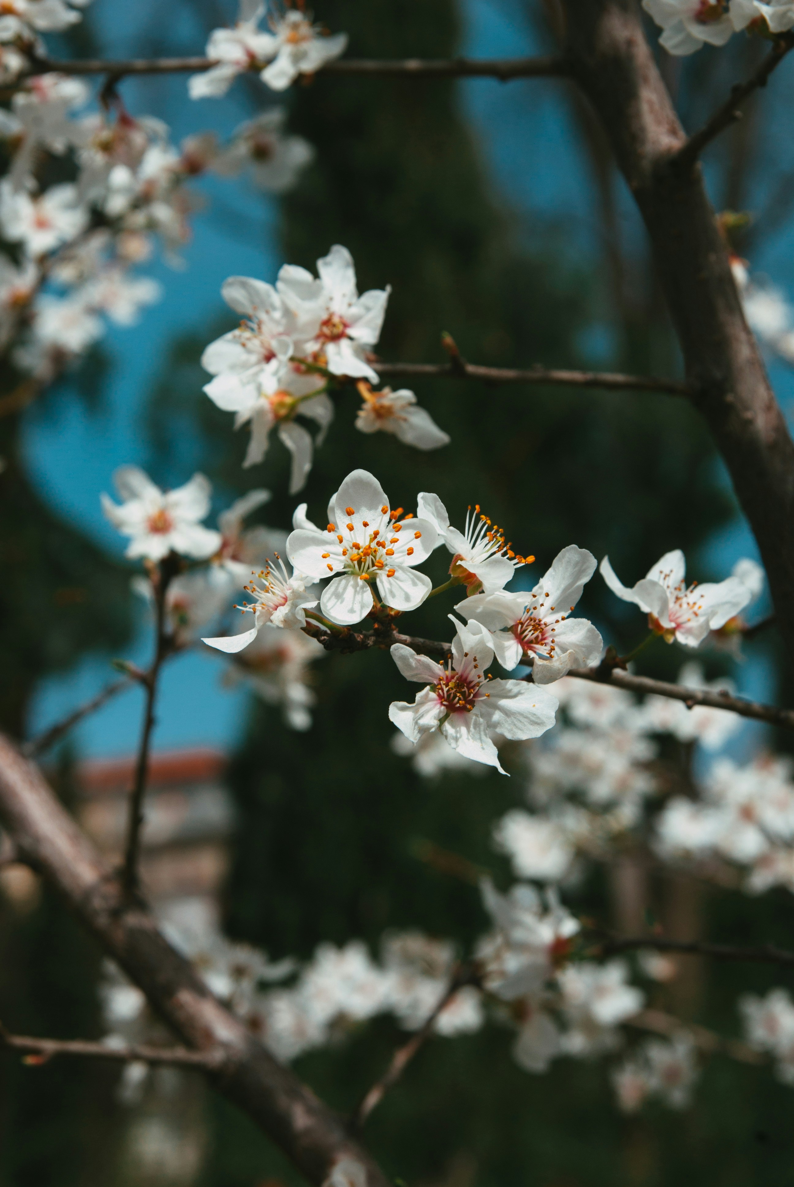 Photo by moonmoons_days